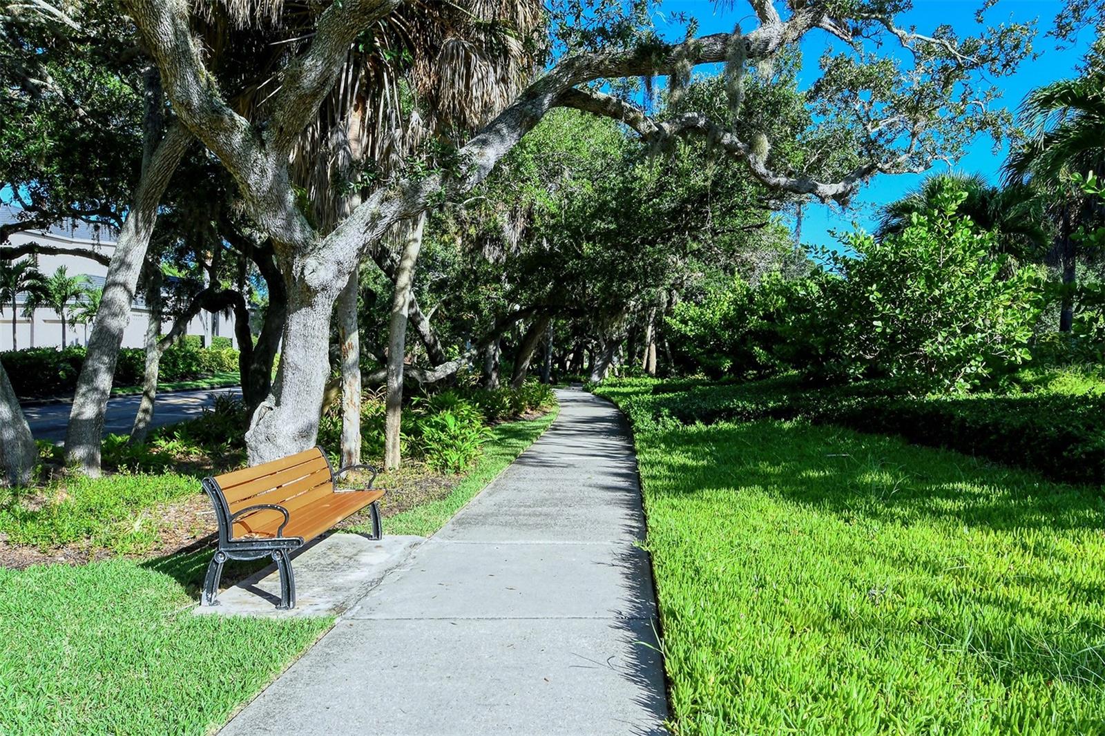 2217 HARBOURSIDE DR #302