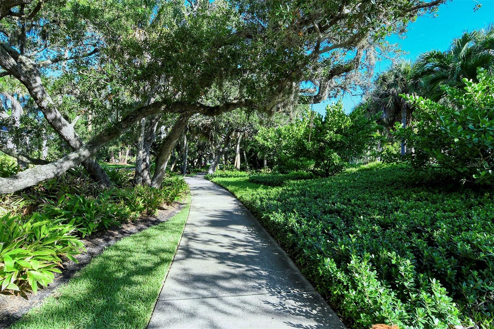 2143 HARBOURSIDE DR #1201