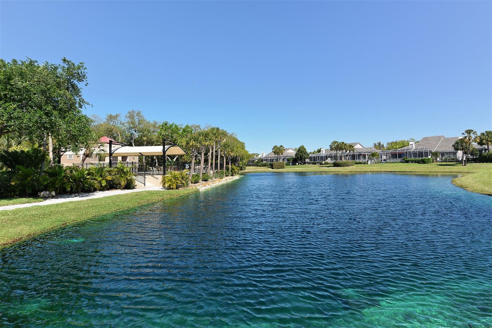 3465 WINDING OAKS DR #33