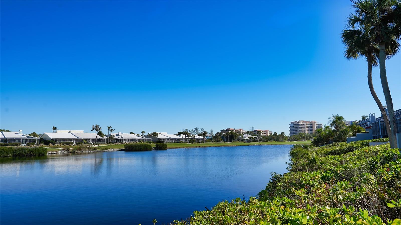 3465 WINDING OAKS DR #33