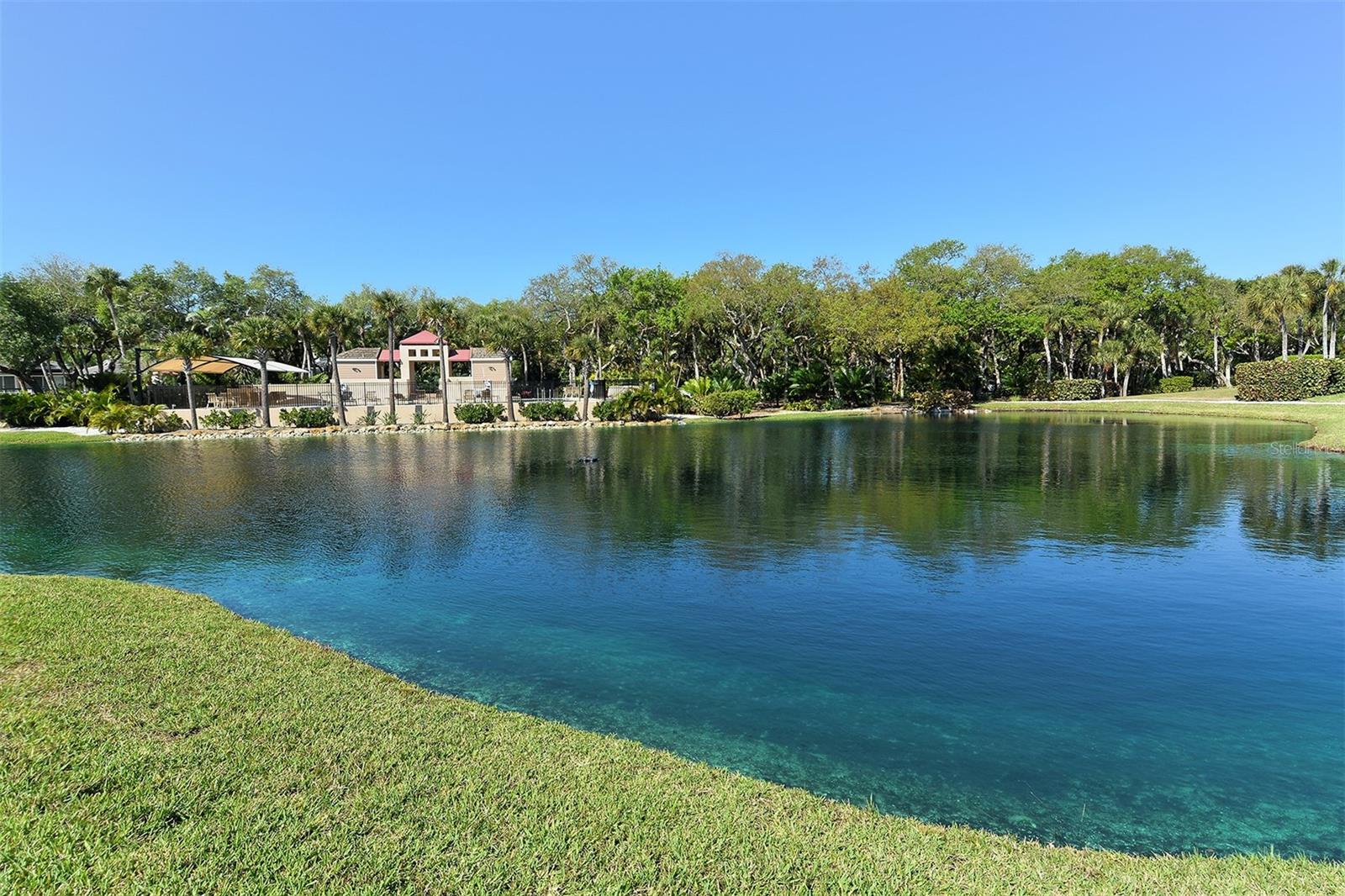 3465 WINDING OAKS DR #33