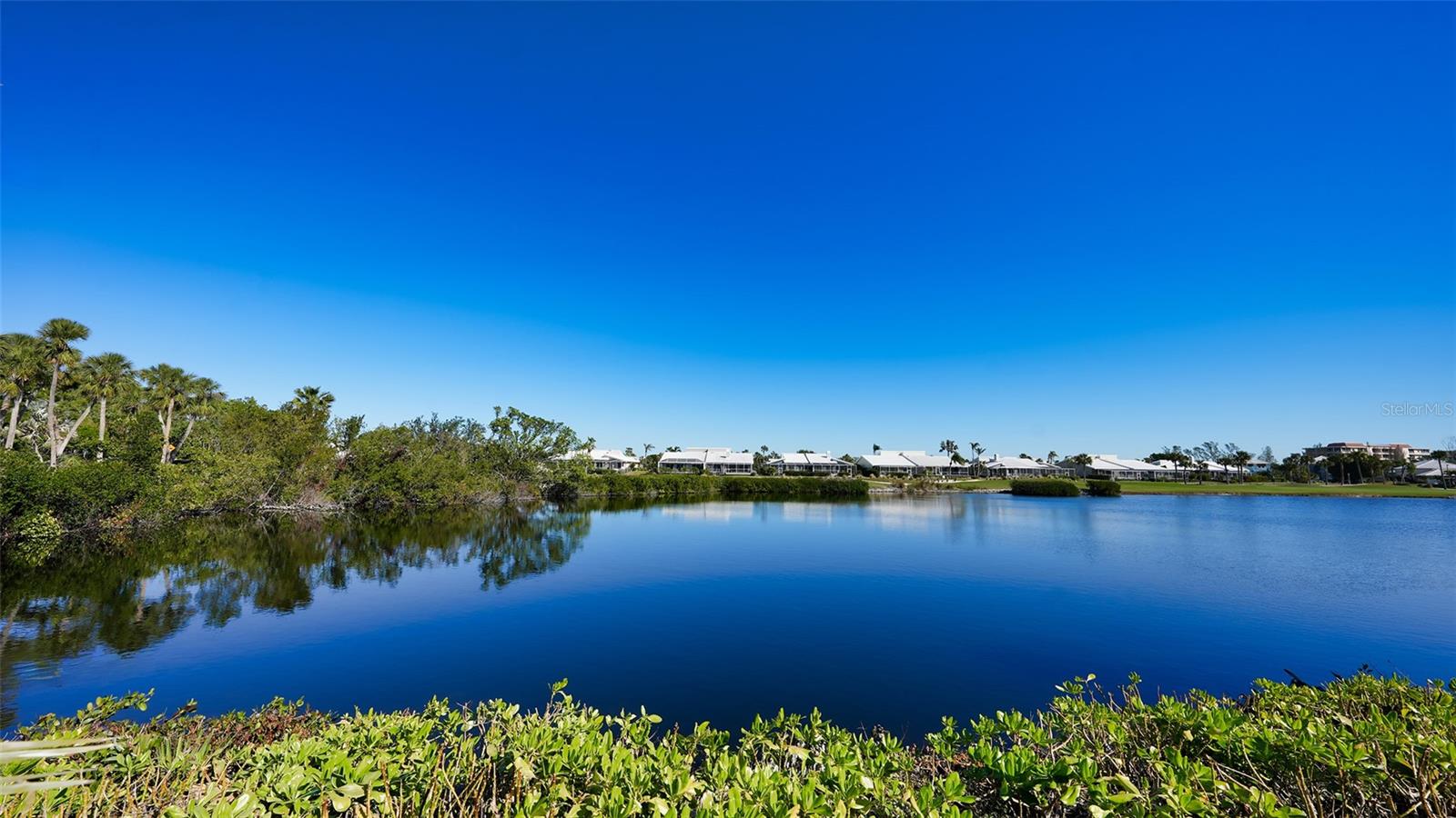 3465 WINDING OAKS DR #33