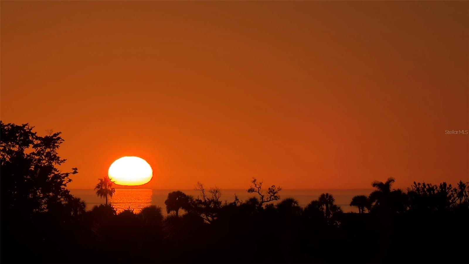 2450 HARBOURSIDE DR #234