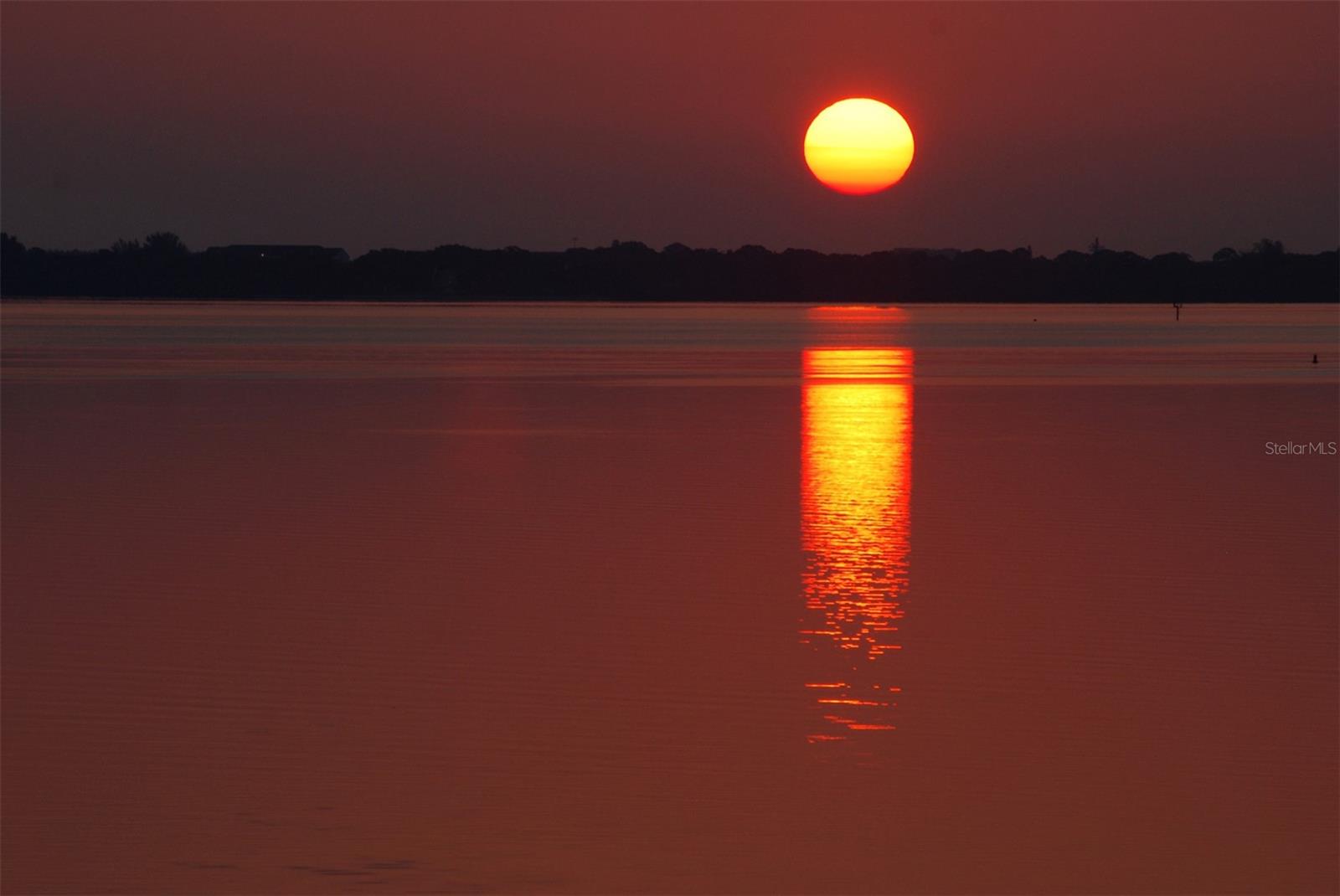 2450 HARBOURSIDE DR #234