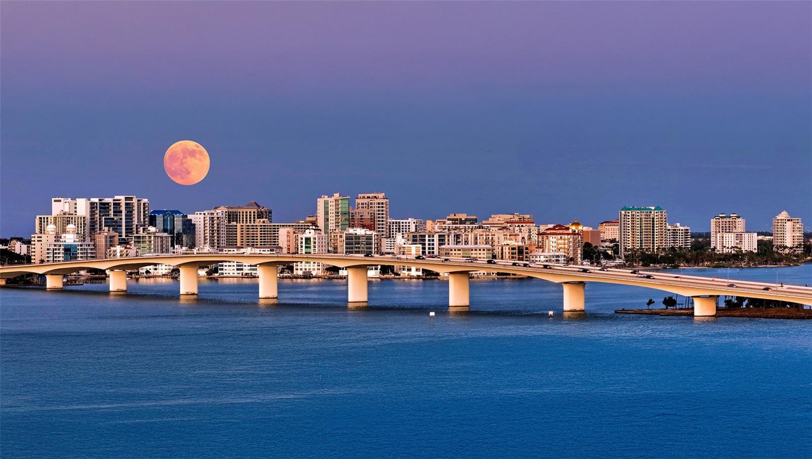 2450 HARBOURSIDE DR #234