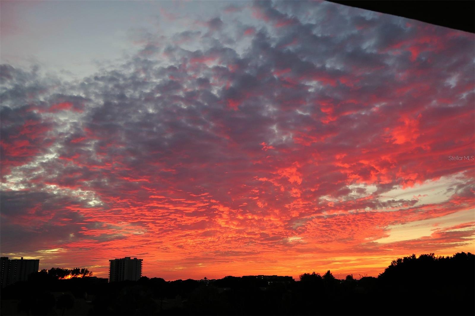 2450 HARBOURSIDE DR #234