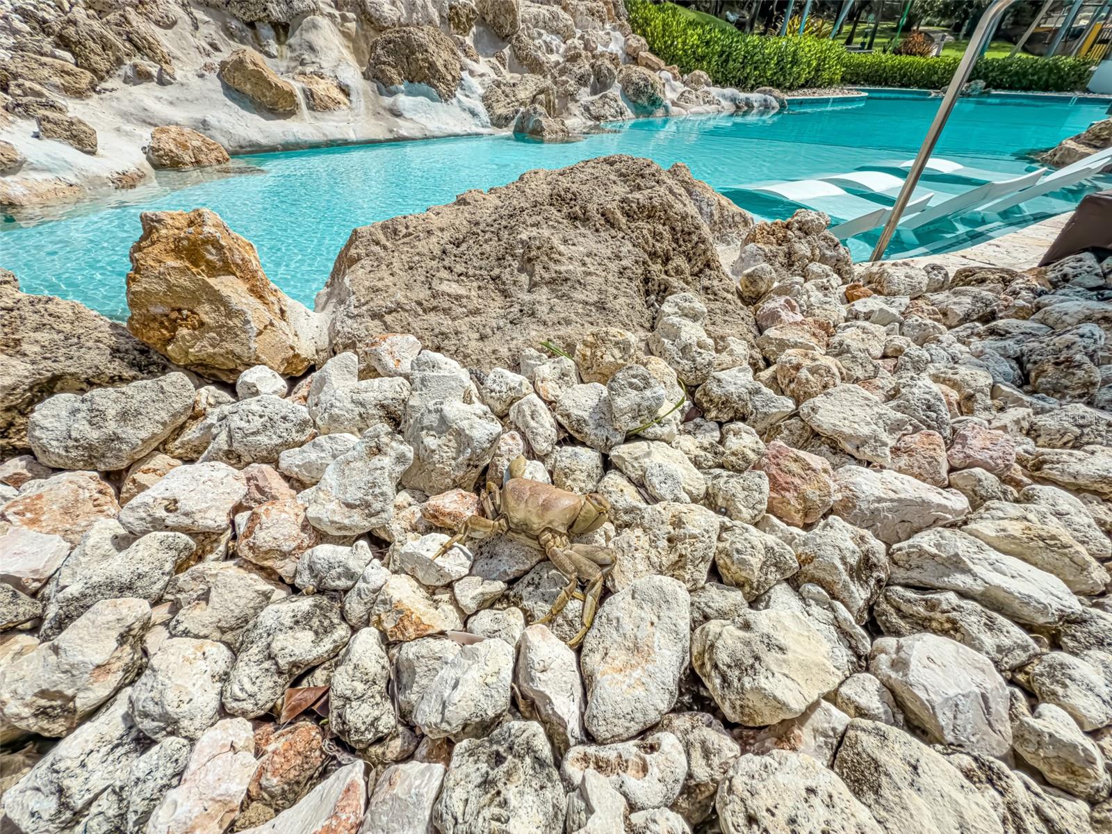 00690 COND TREASURE POINT #543