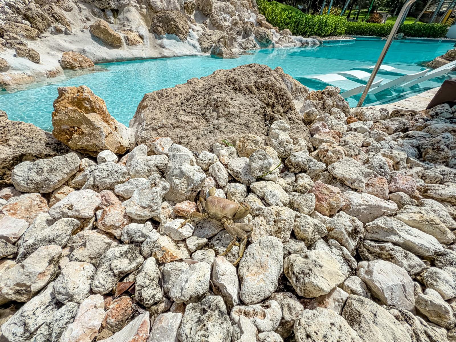 00690 COND TREASURE POINT #372