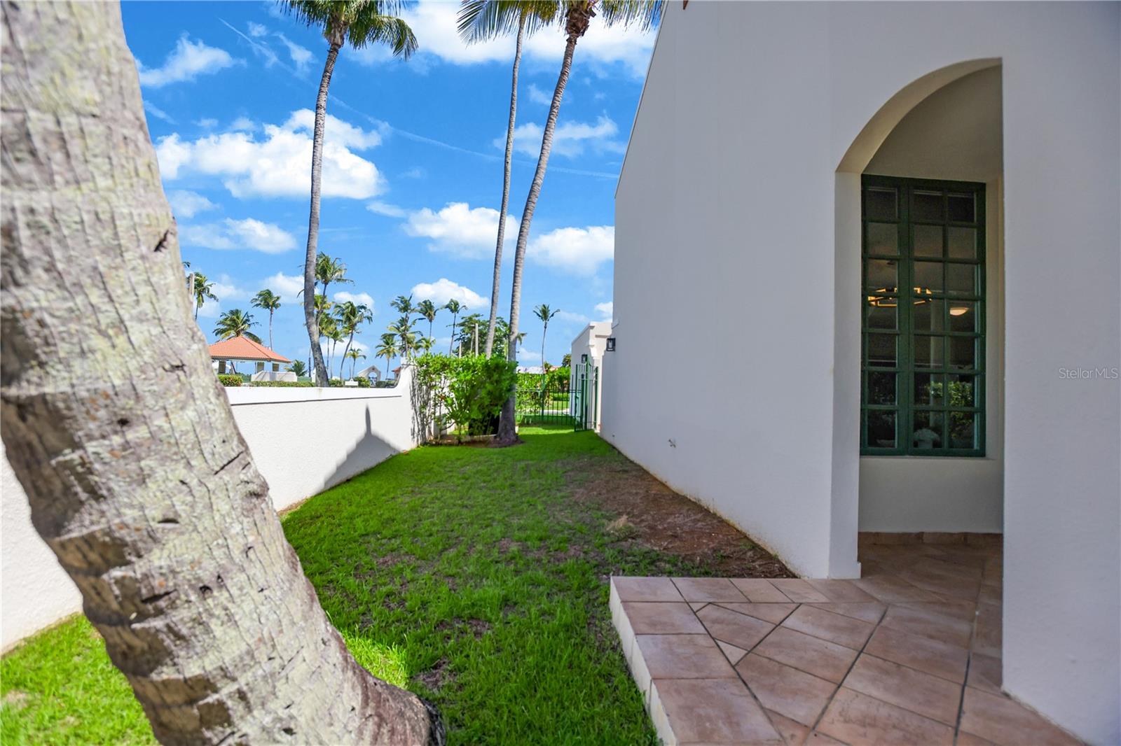 Side yard with a grassy lawn, tall palms, and a tiled patio beside the house.