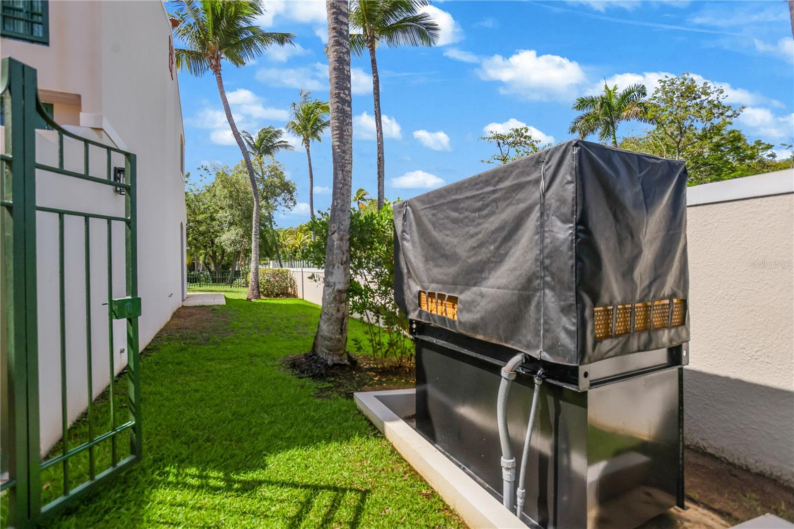 Side yard with a covered generator, green gate, lawn, and palm trees.