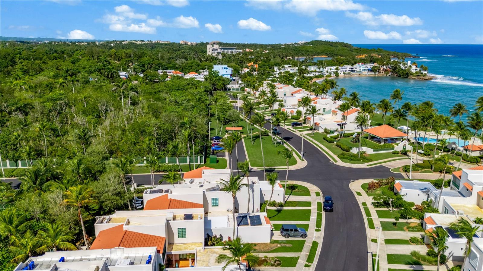 Aerial view of coastal homes and palm-lined streets beside a blue ocean cove.