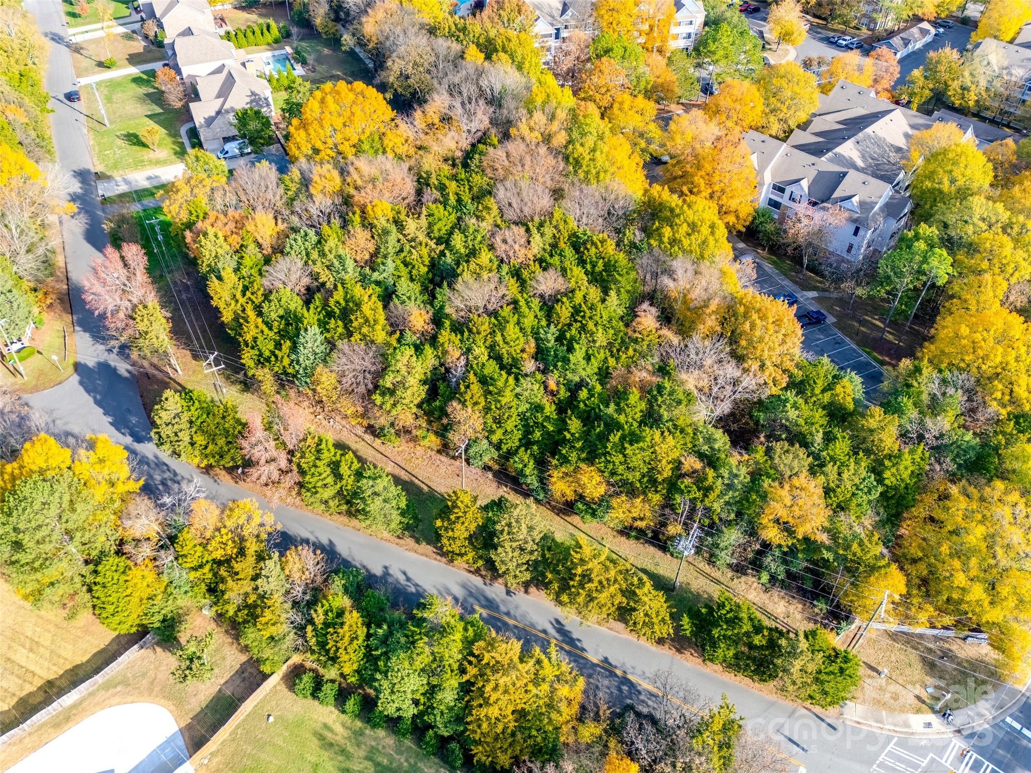 3519 Arboretum View