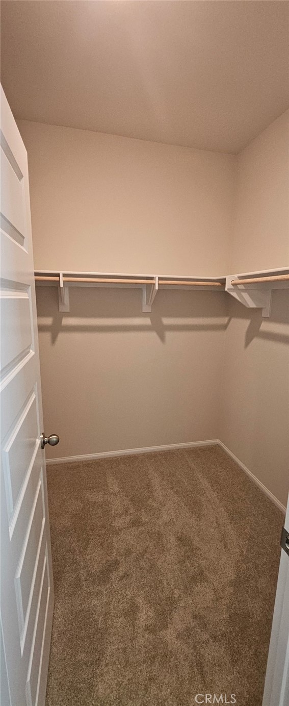 1139 Tropic Court