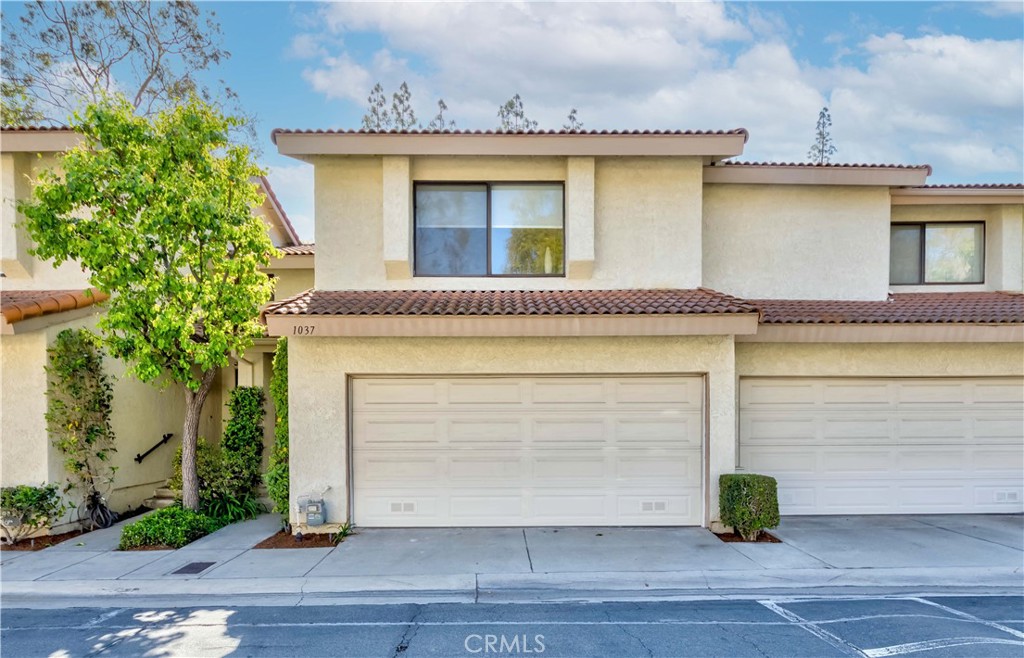 1037 Whitewater Drive 152
