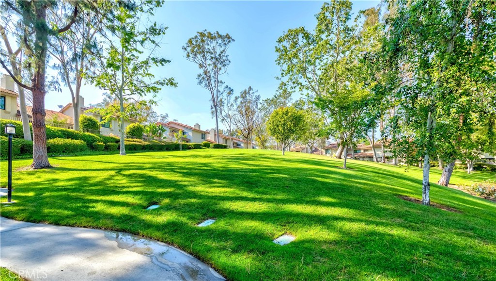 1037 Whitewater Drive 152