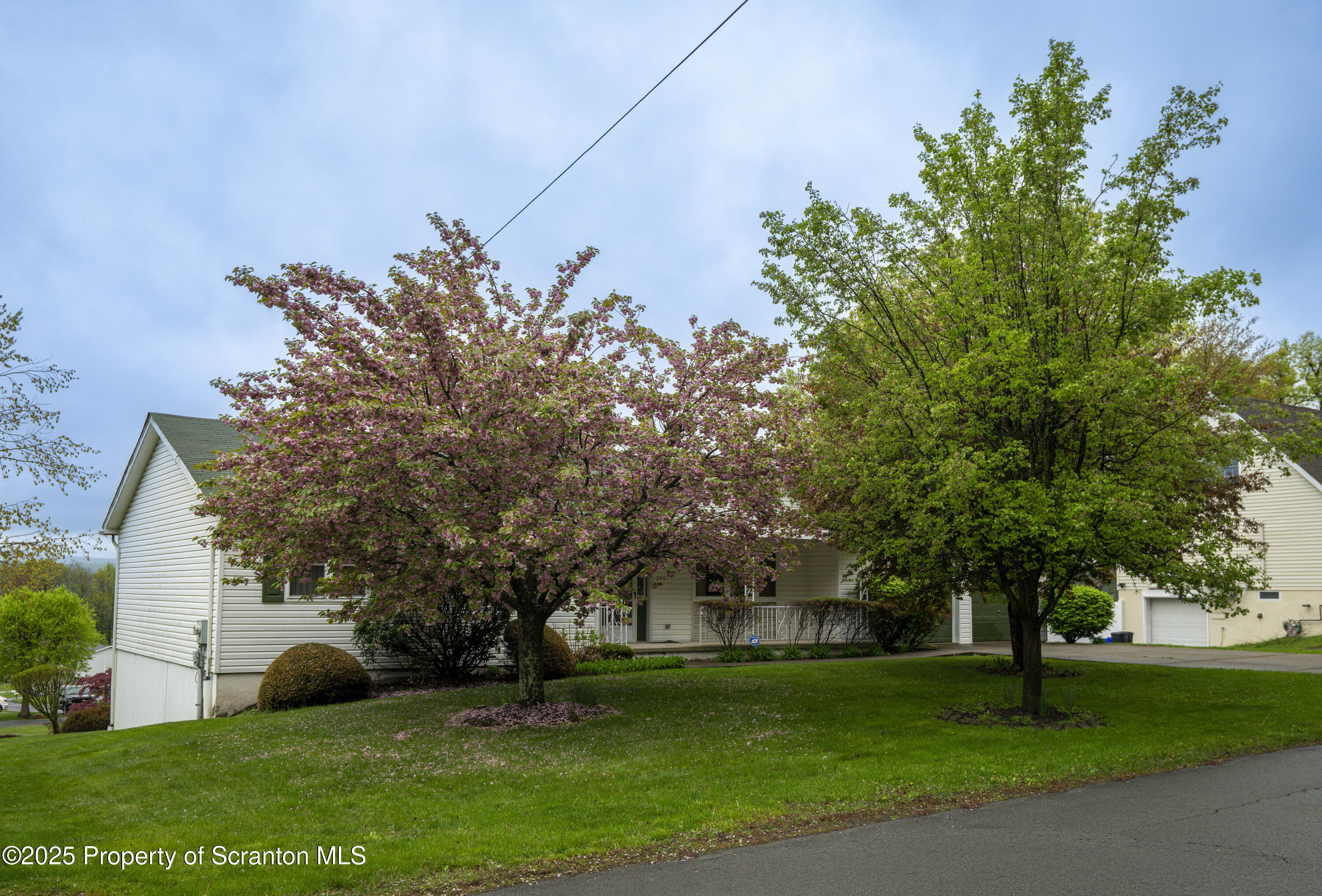 295 Crisp Avenue