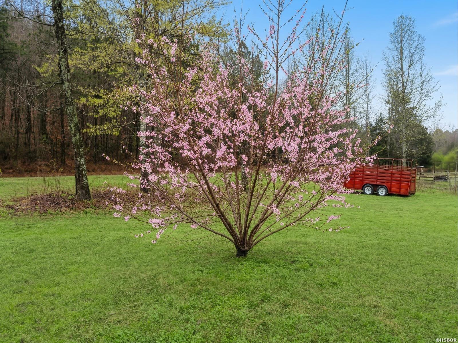 184 PEACEFUL PLACE Road