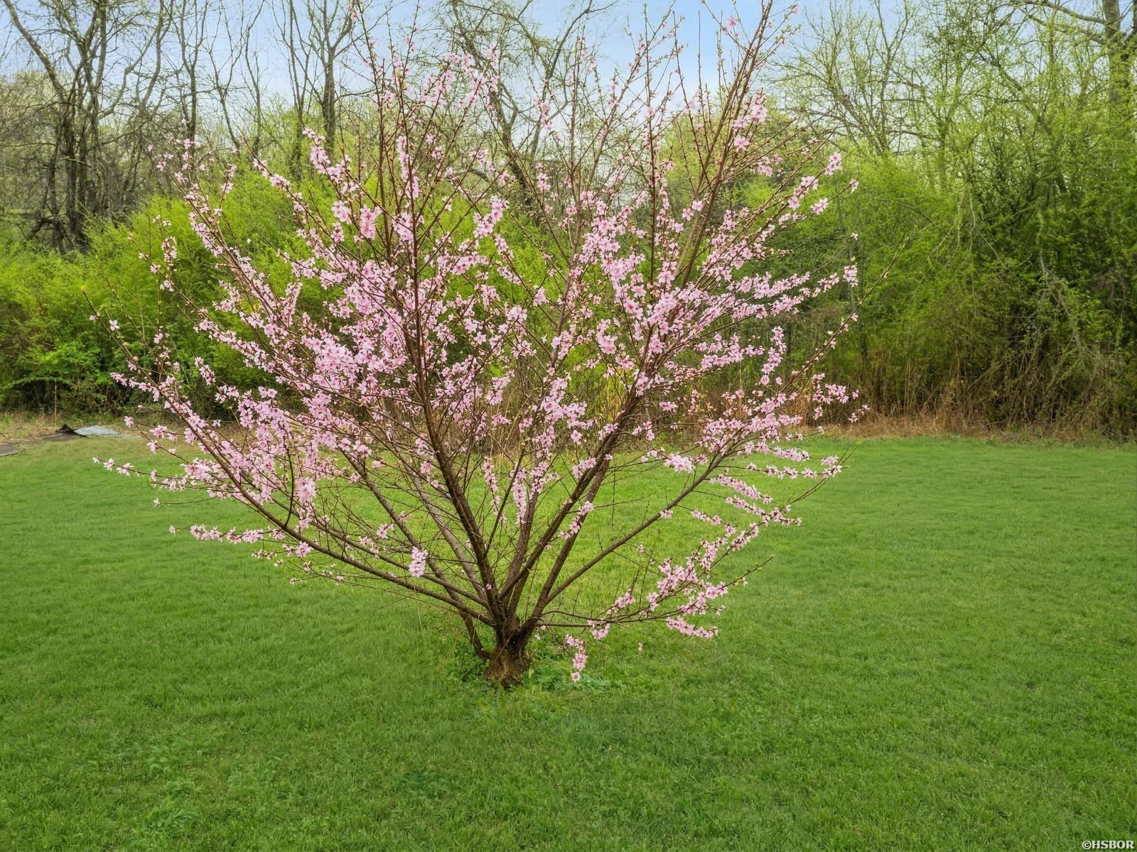 184 PEACEFUL PLACE Road