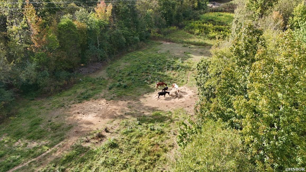 184 PEACEFUL PLACE Road