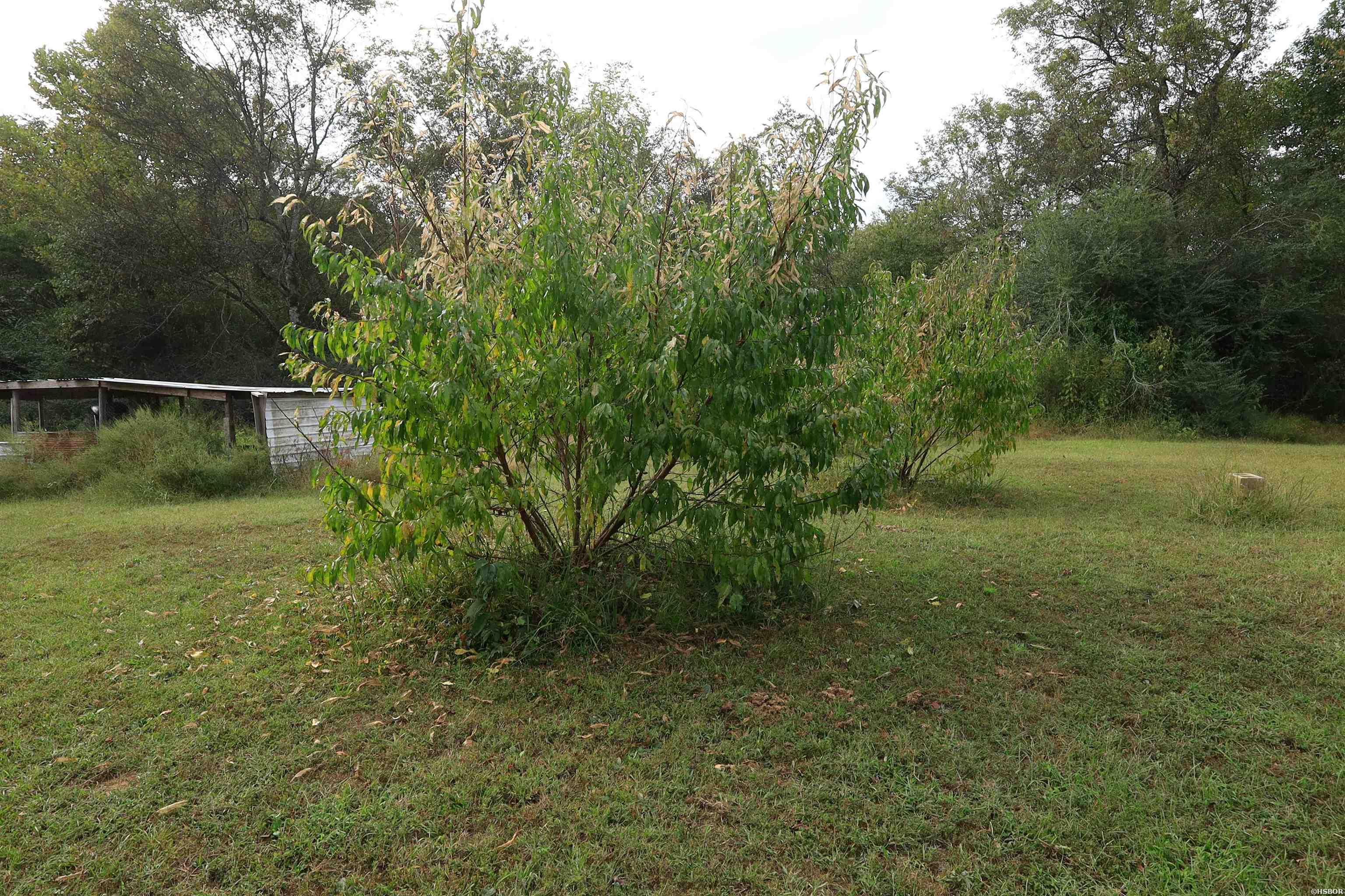 184 PEACEFUL PLACE Road