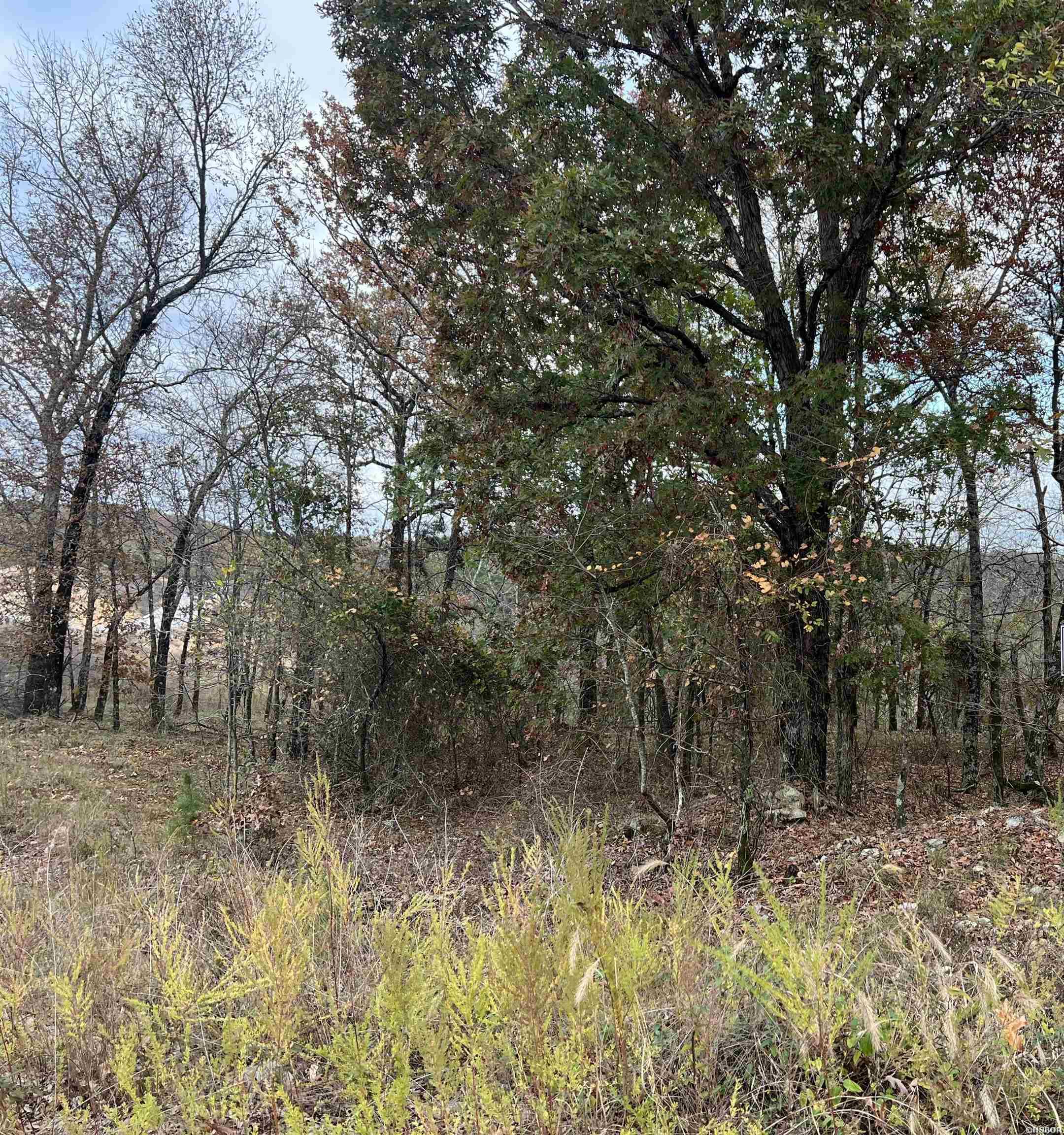 TBD PROMISE LAND Drive