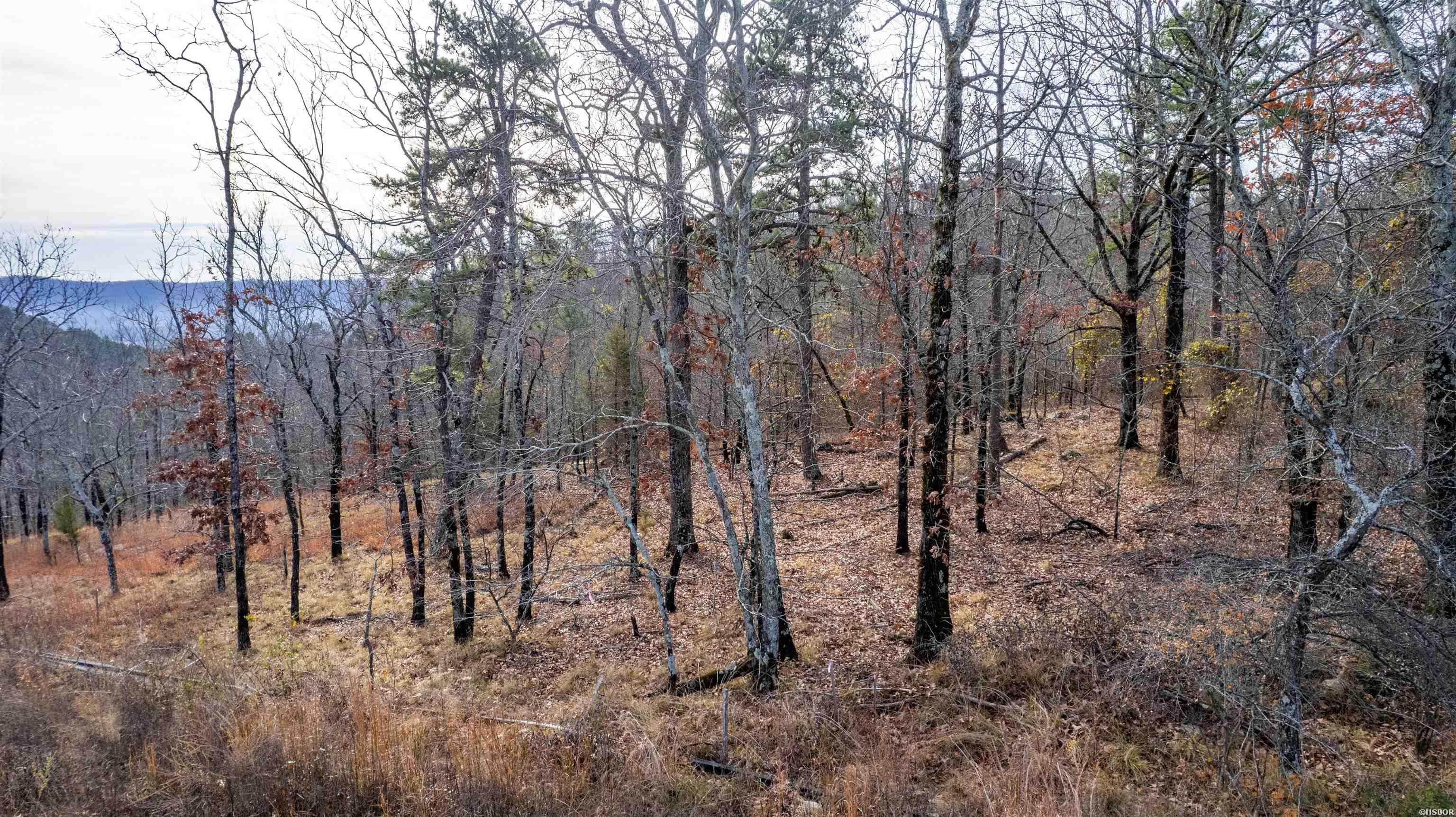 TBD PROMISE LAND Drive