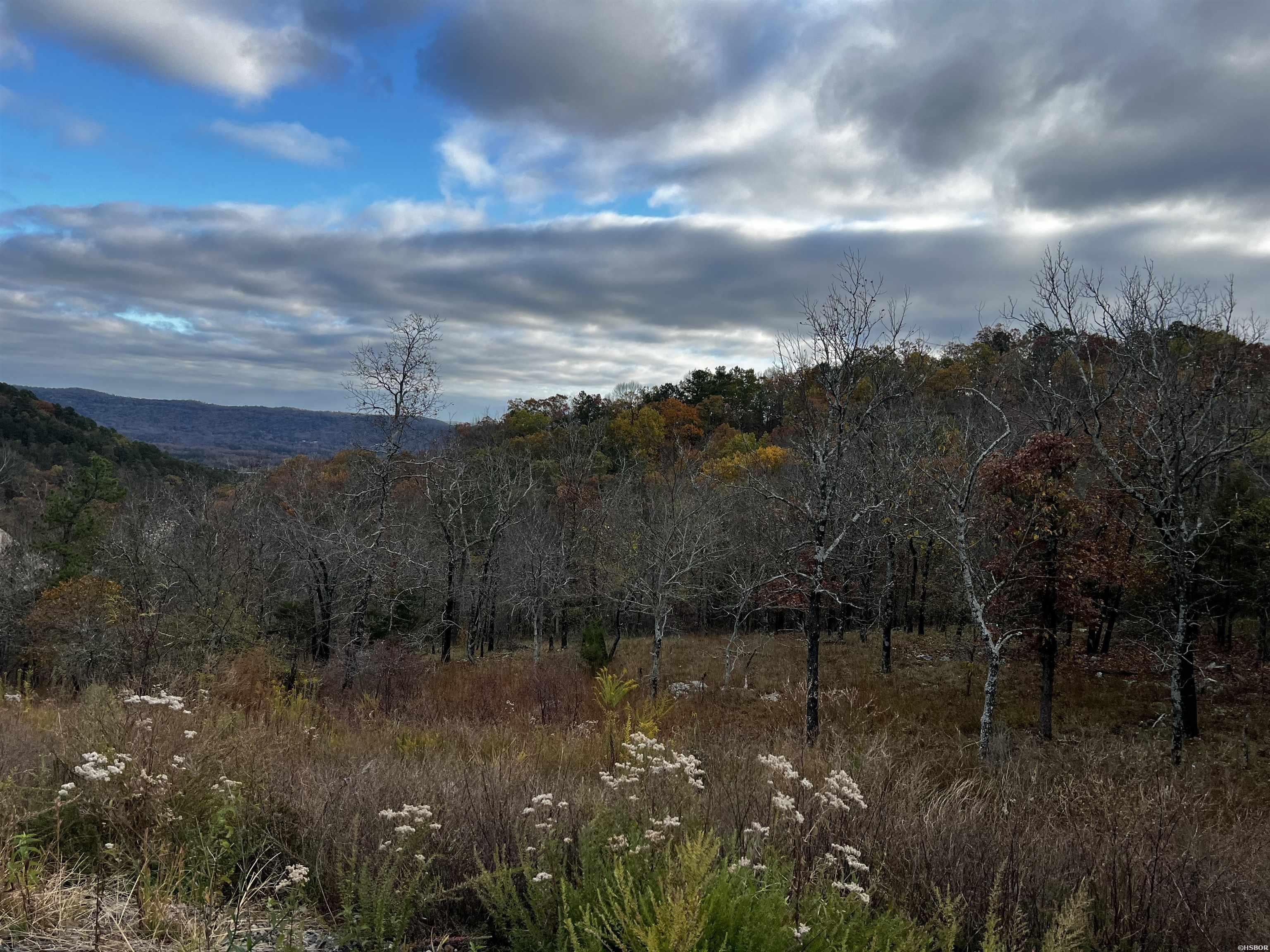 TBD PROMISE LAND Drive