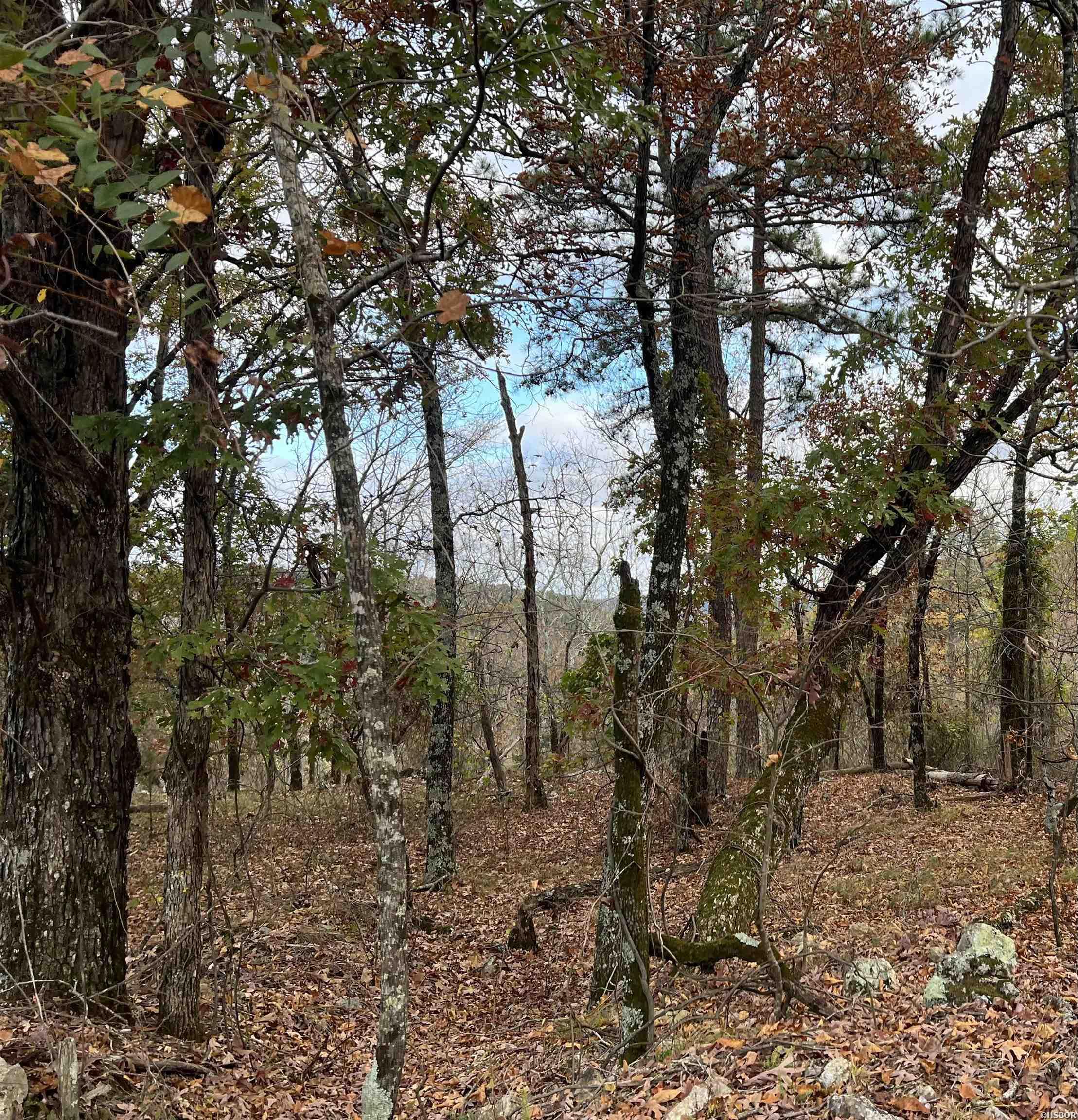 TBD PROMISE LAND Drive