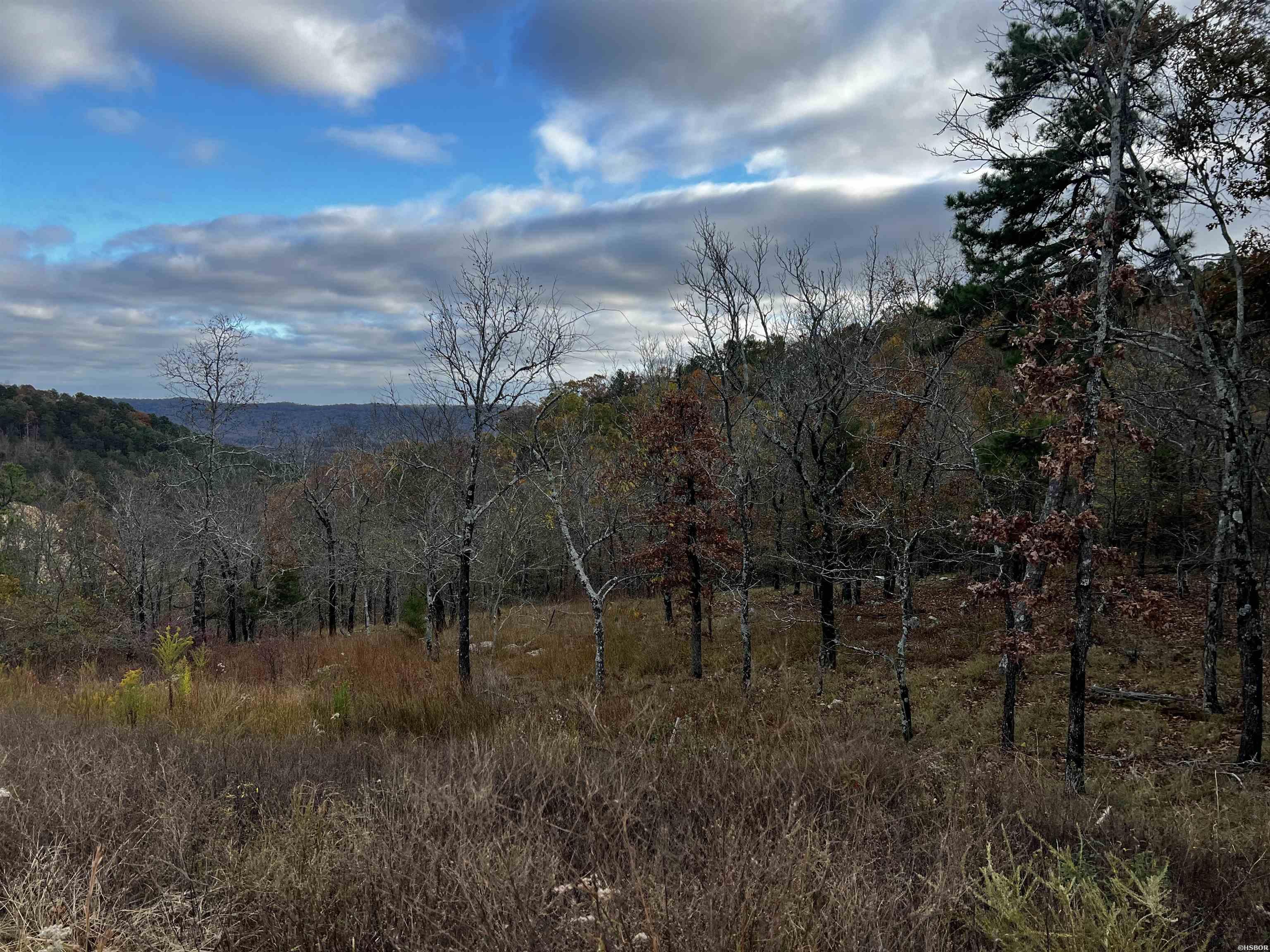 TBD PROMISE LAND Drive