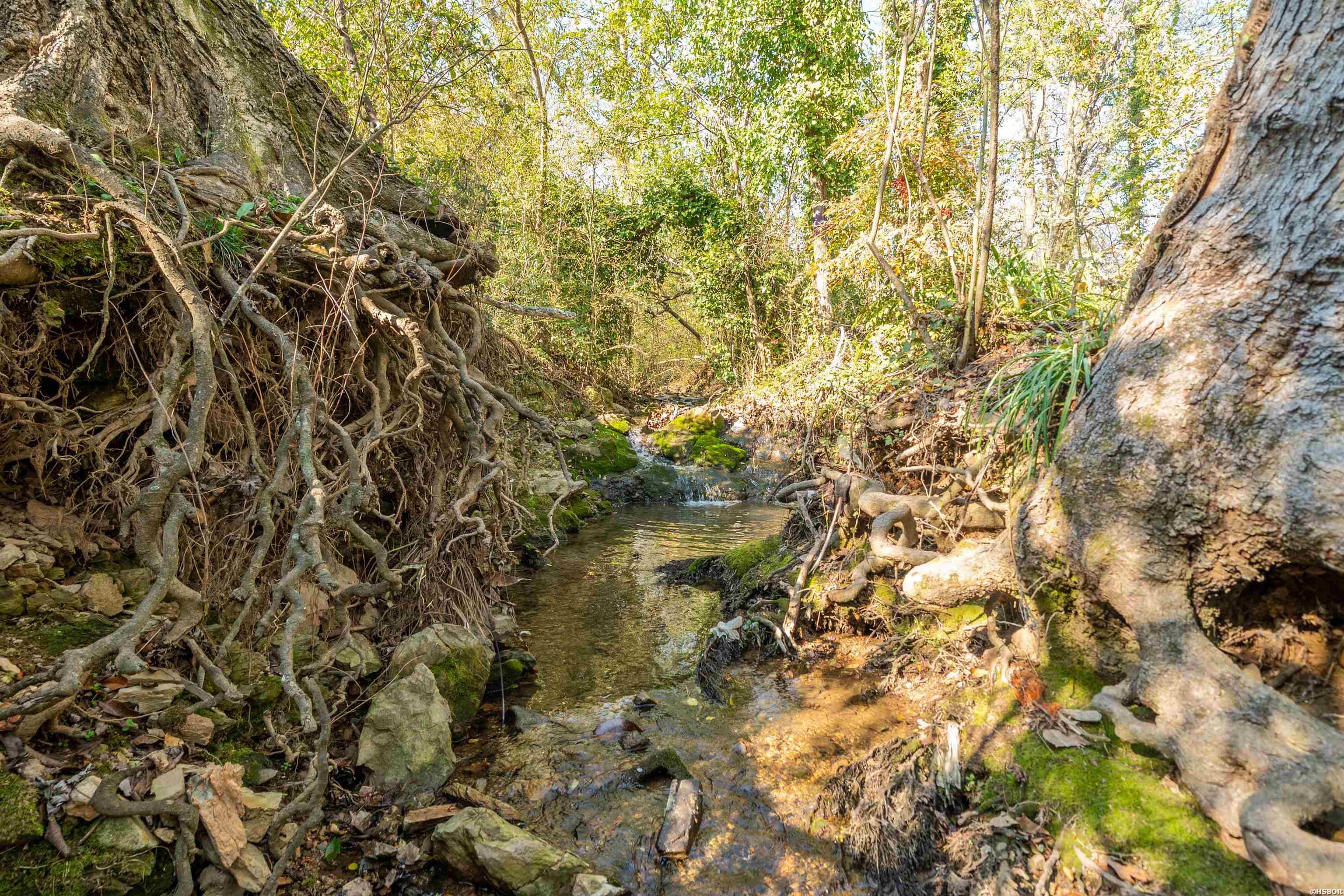 503 & 505 S PATTERSON