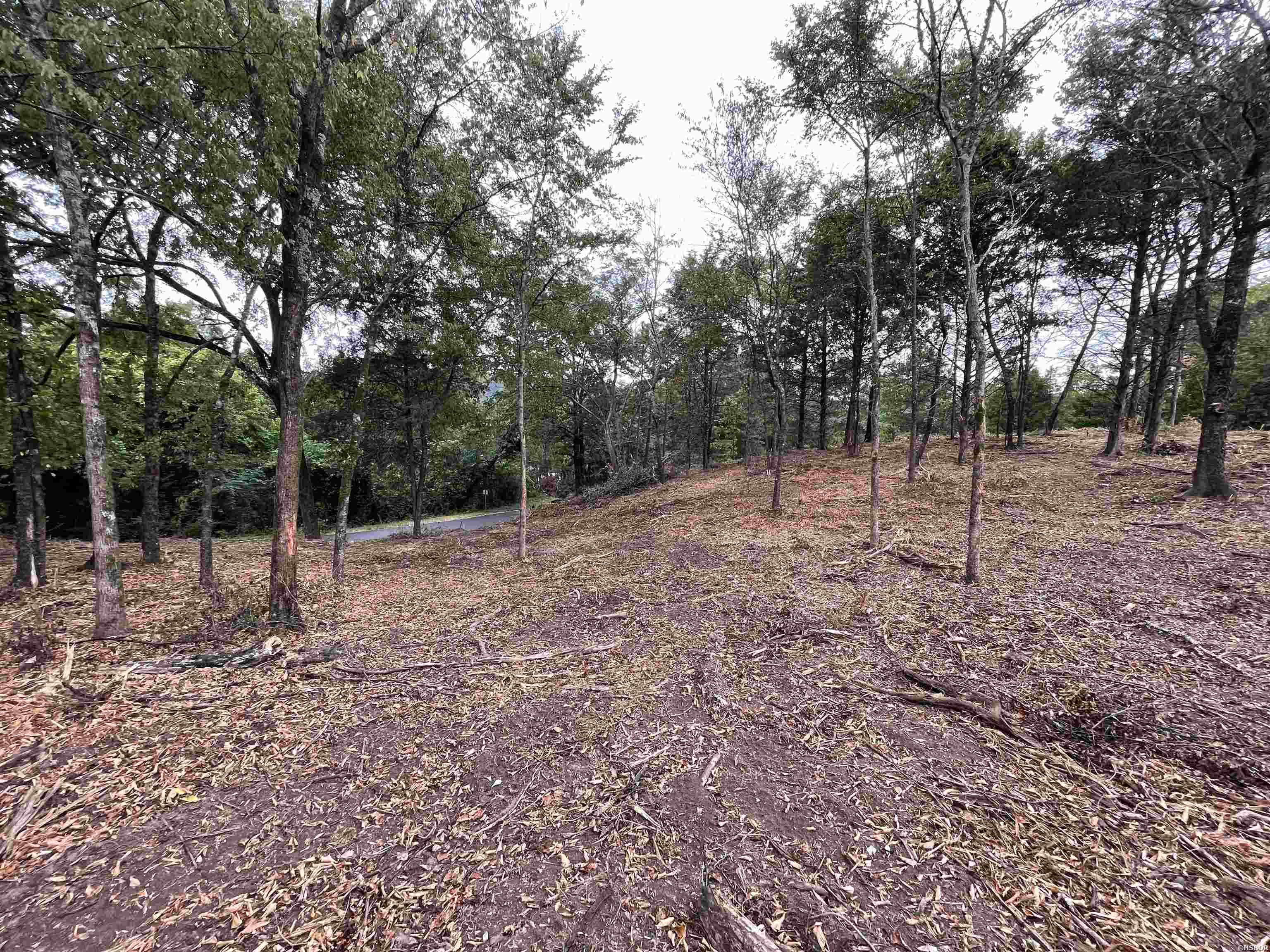 8 Lots VICKSBURG Street