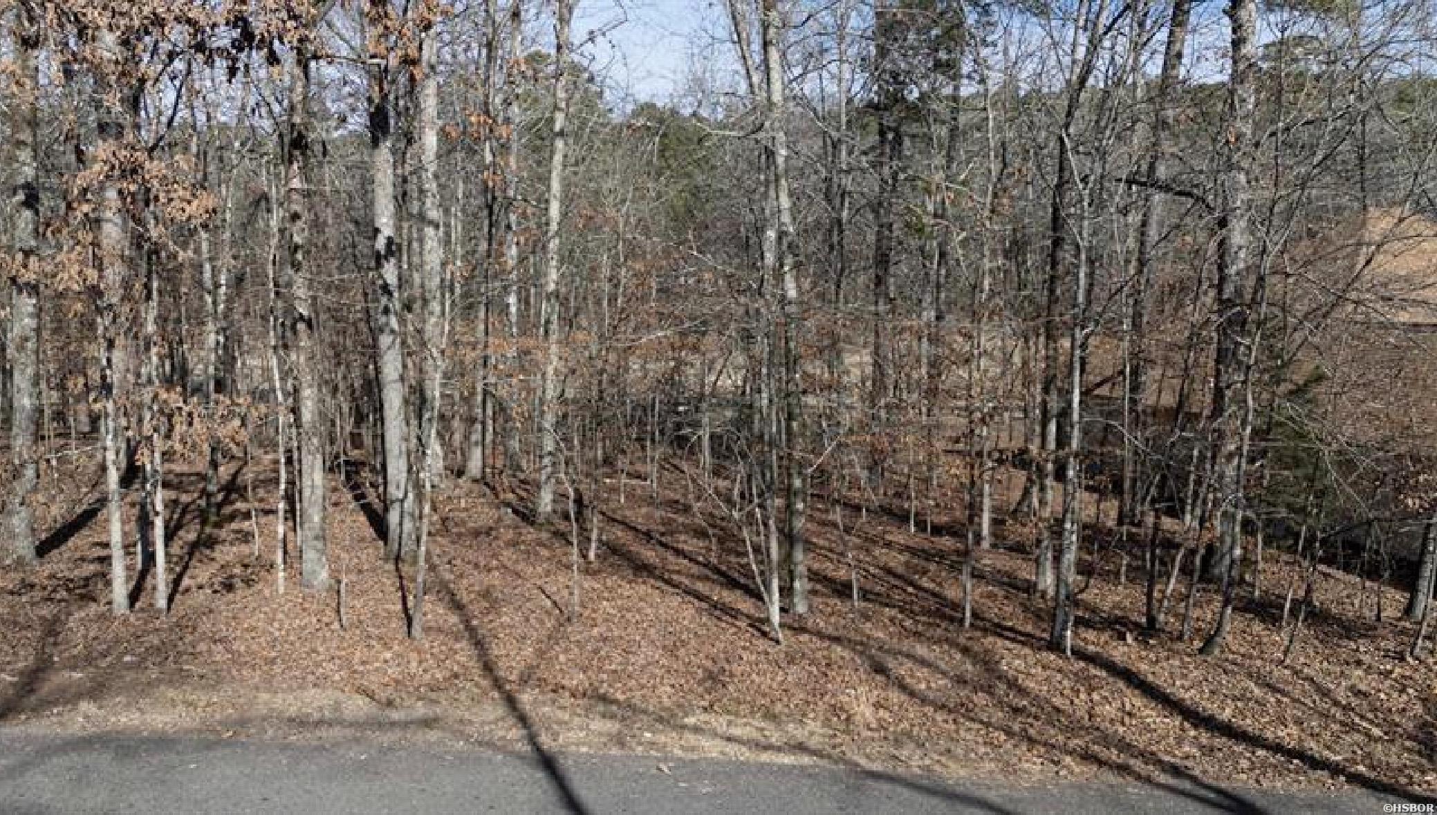 lot 19 ARCHIDONA Lane