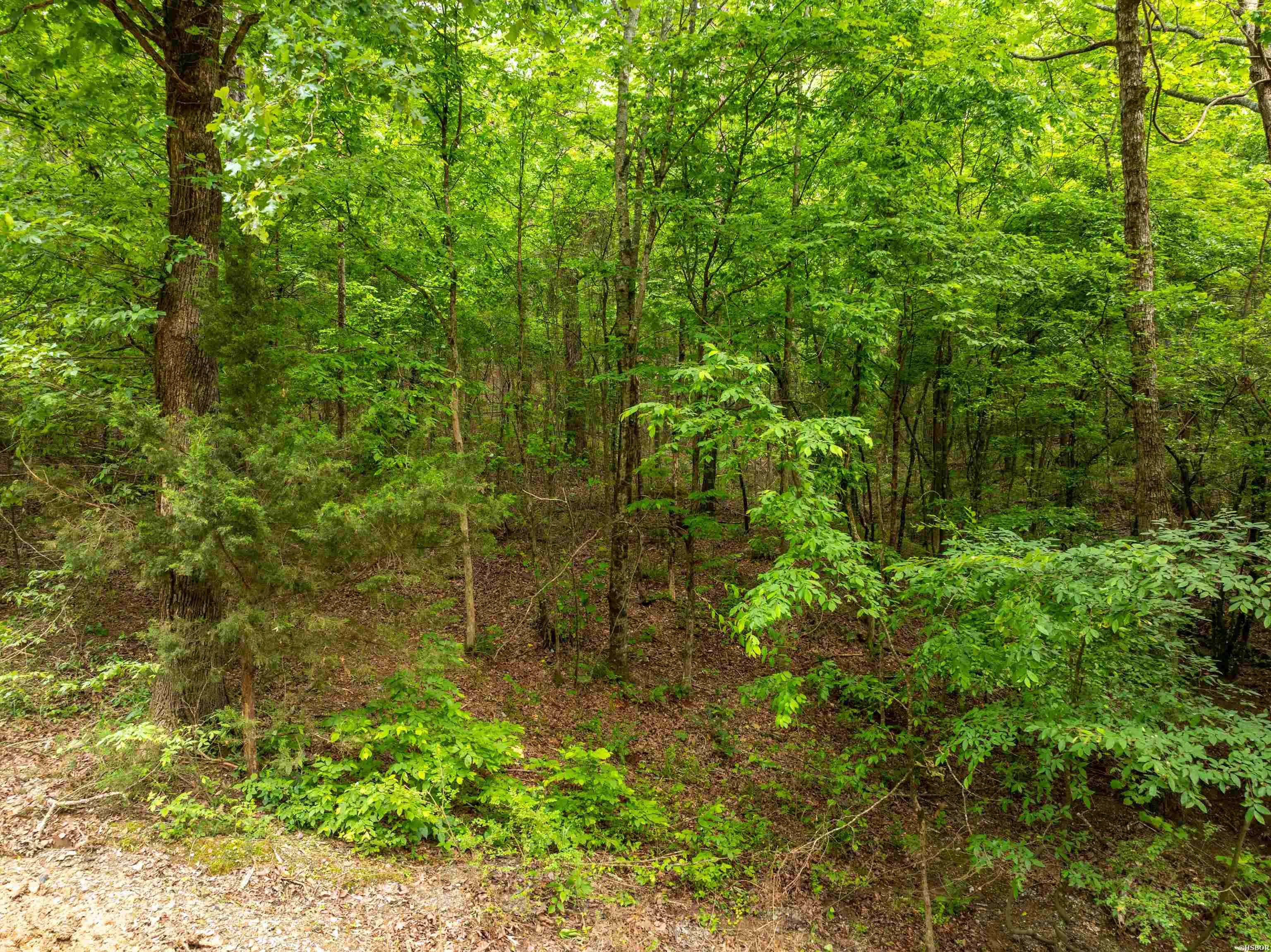 TBD CROSS CREEK Road