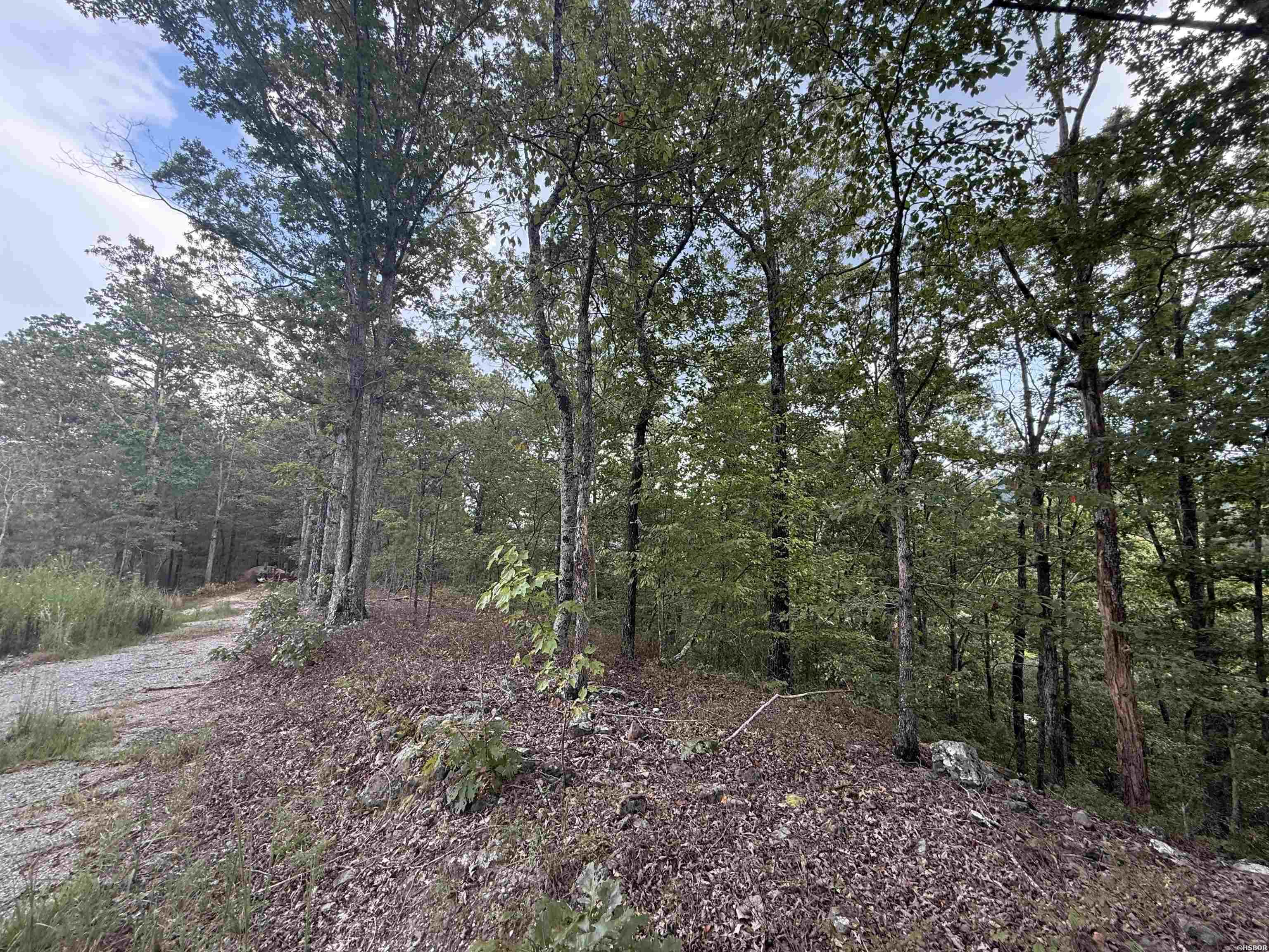 321 PLATA HOLLOW