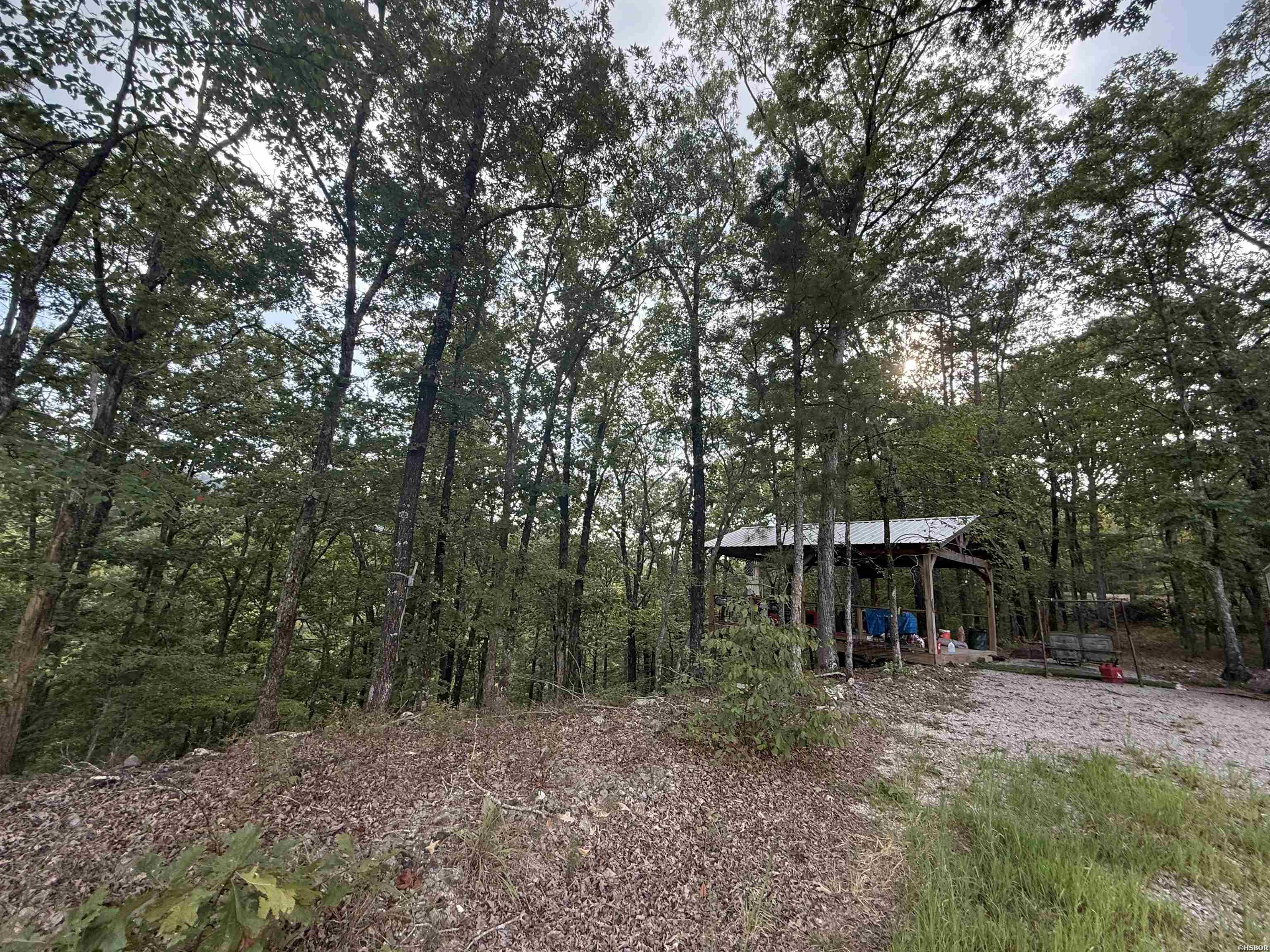 321 PLATA HOLLOW
