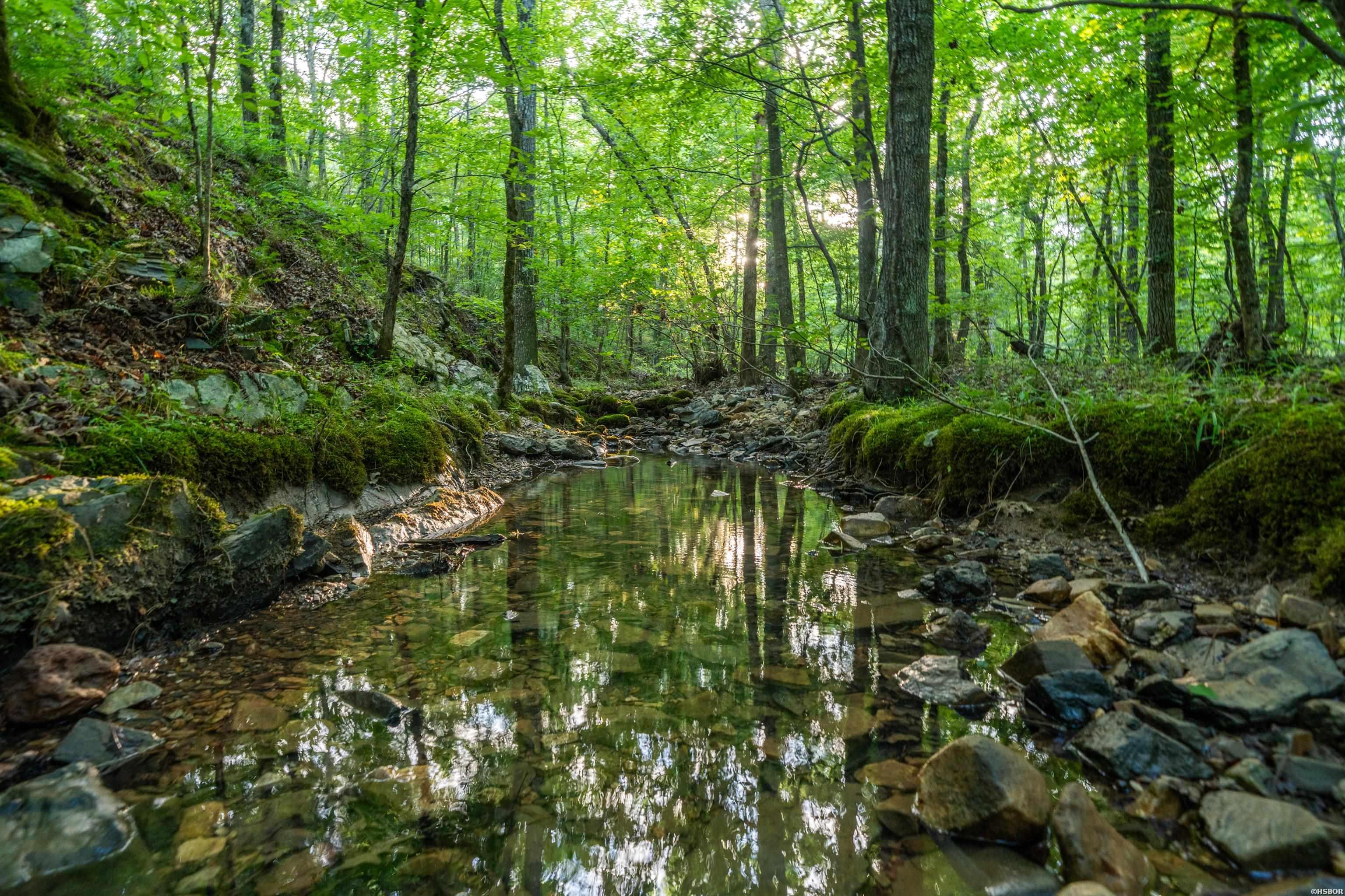 000 KINSEY MOUNTAIN Road