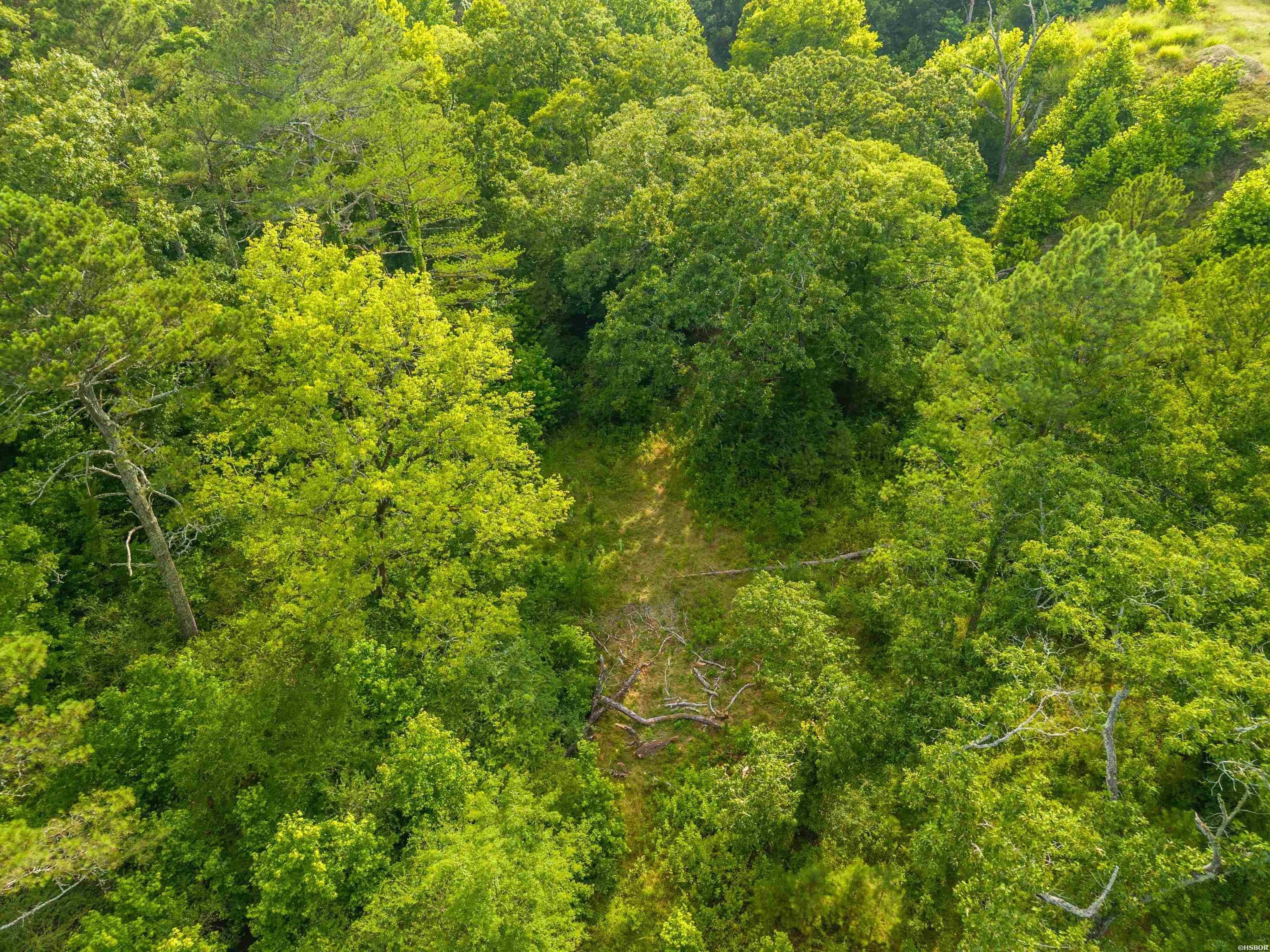 000 KINSEY MOUNTAIN Road