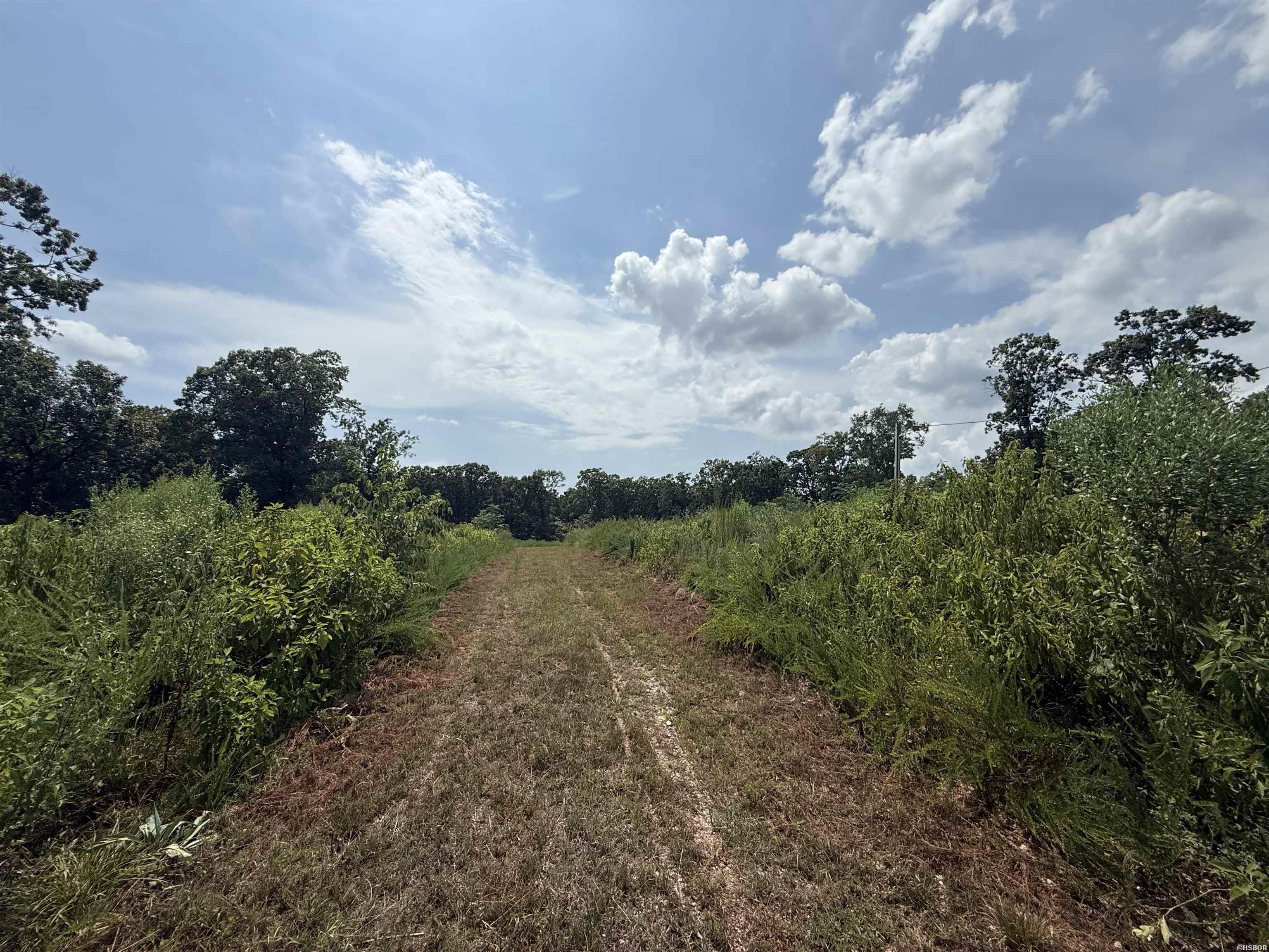 TBD COPPERHEAD Drive