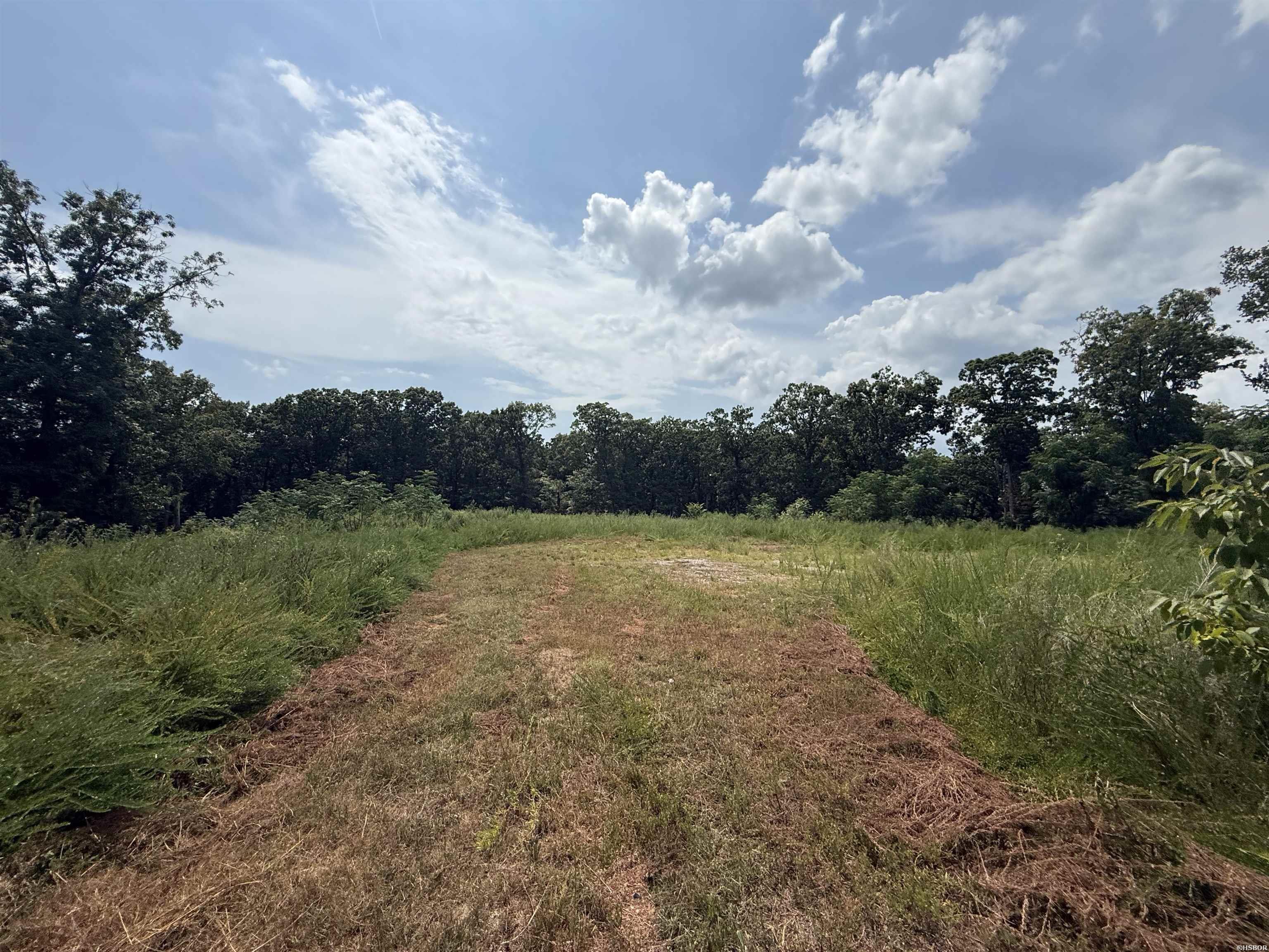 TBD COPPERHEAD Drive