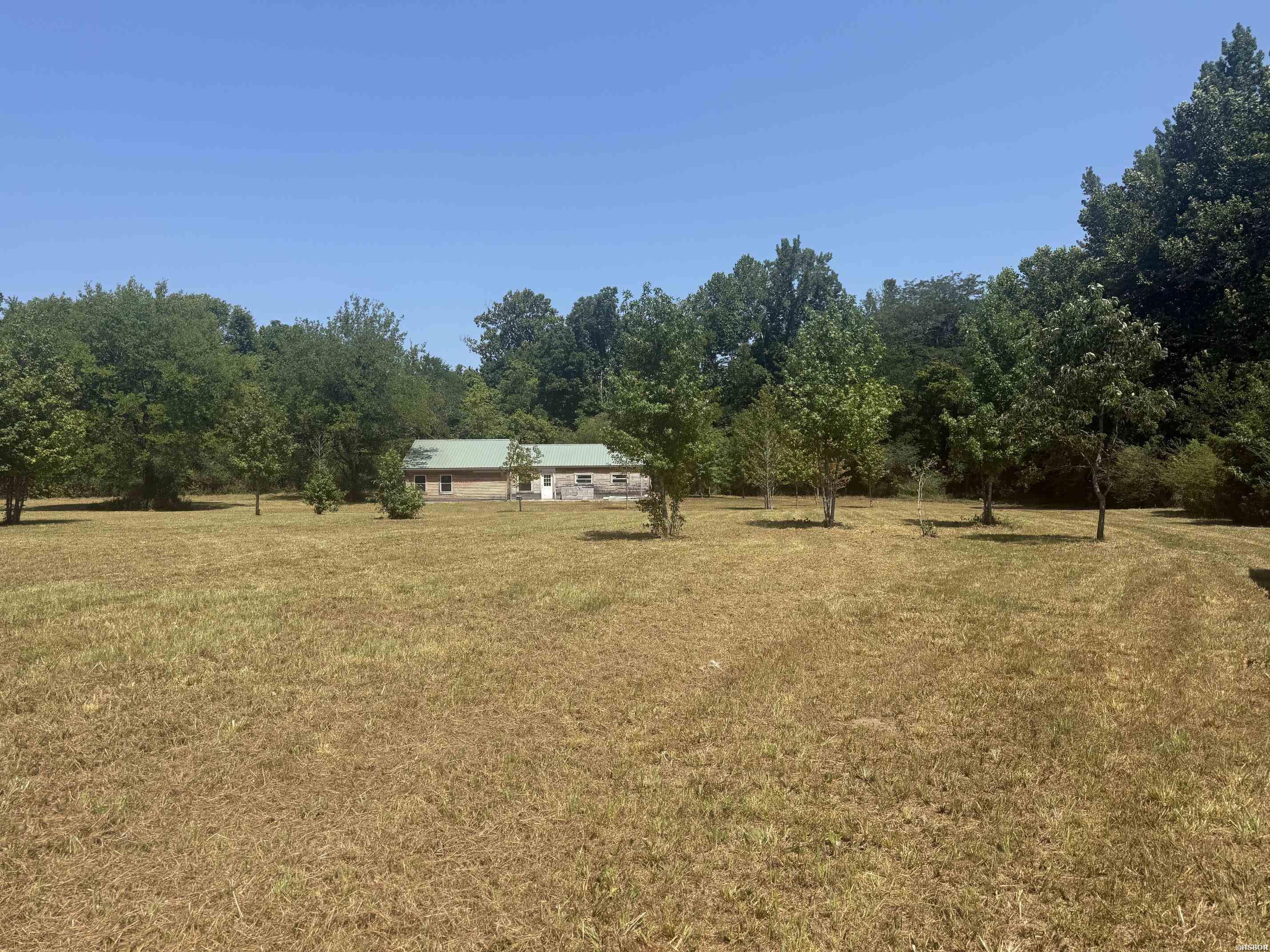169 ALYDAR Trail