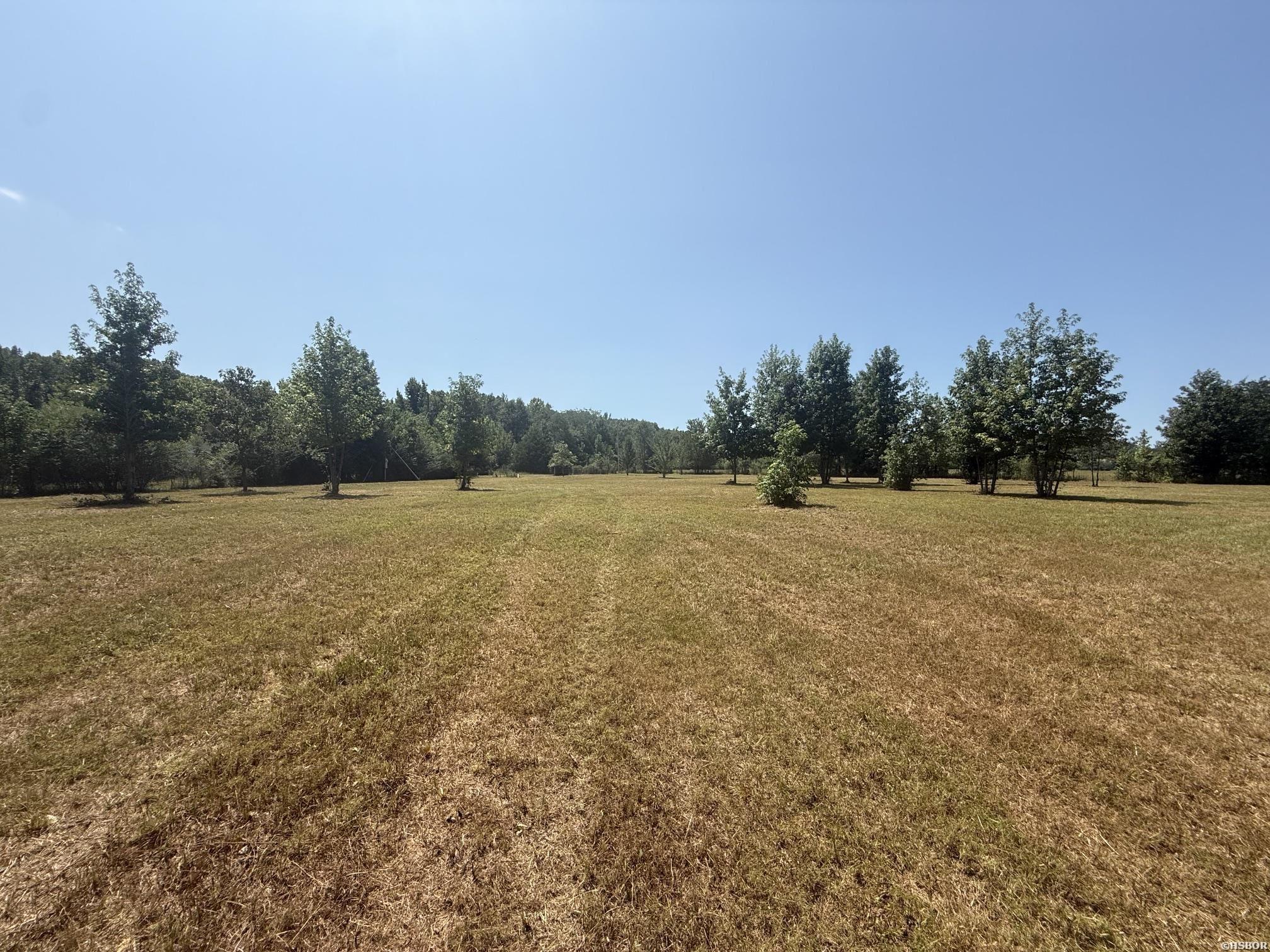 169 ALYDAR Trail