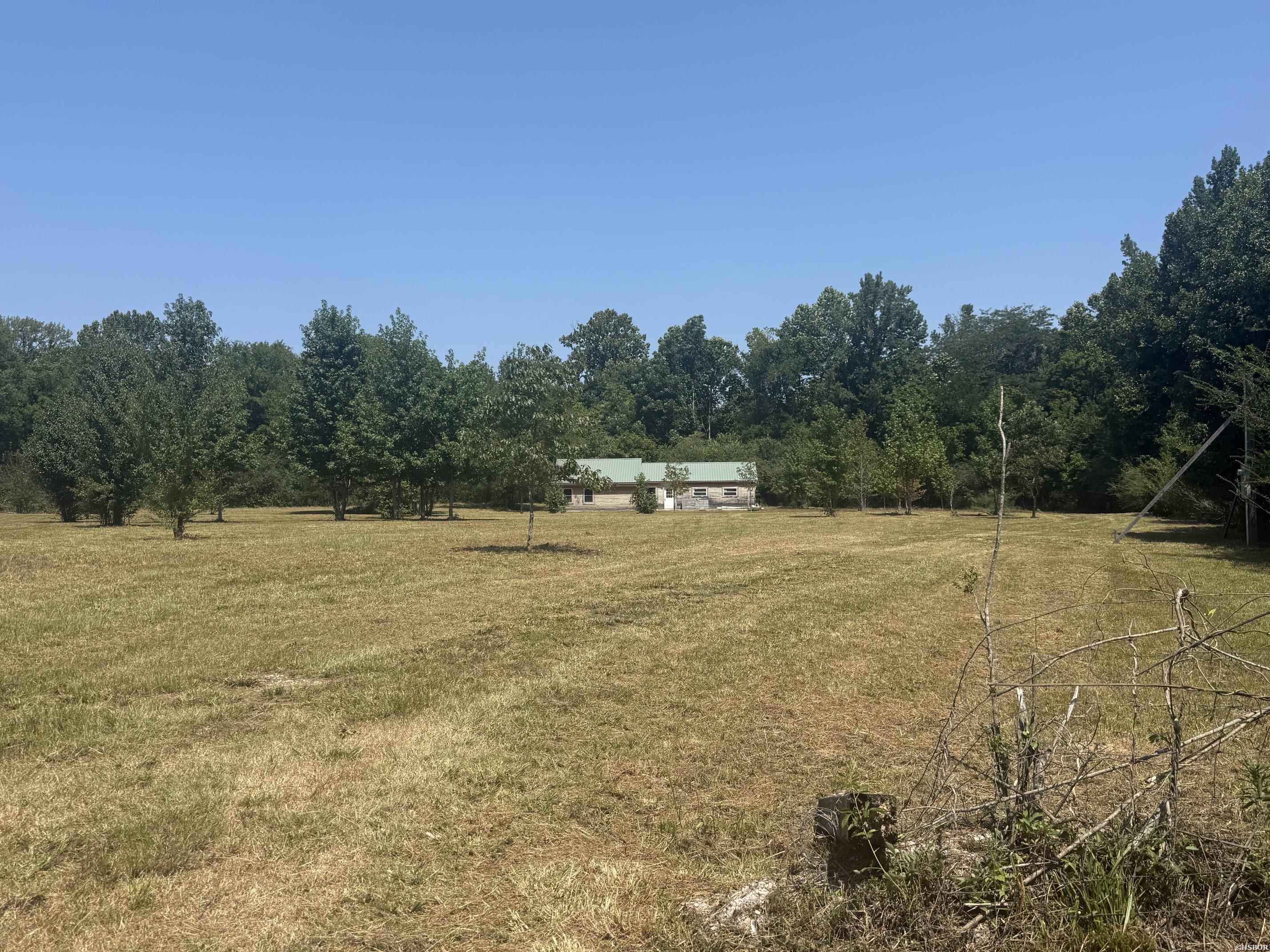 169 ALYDAR Trail
