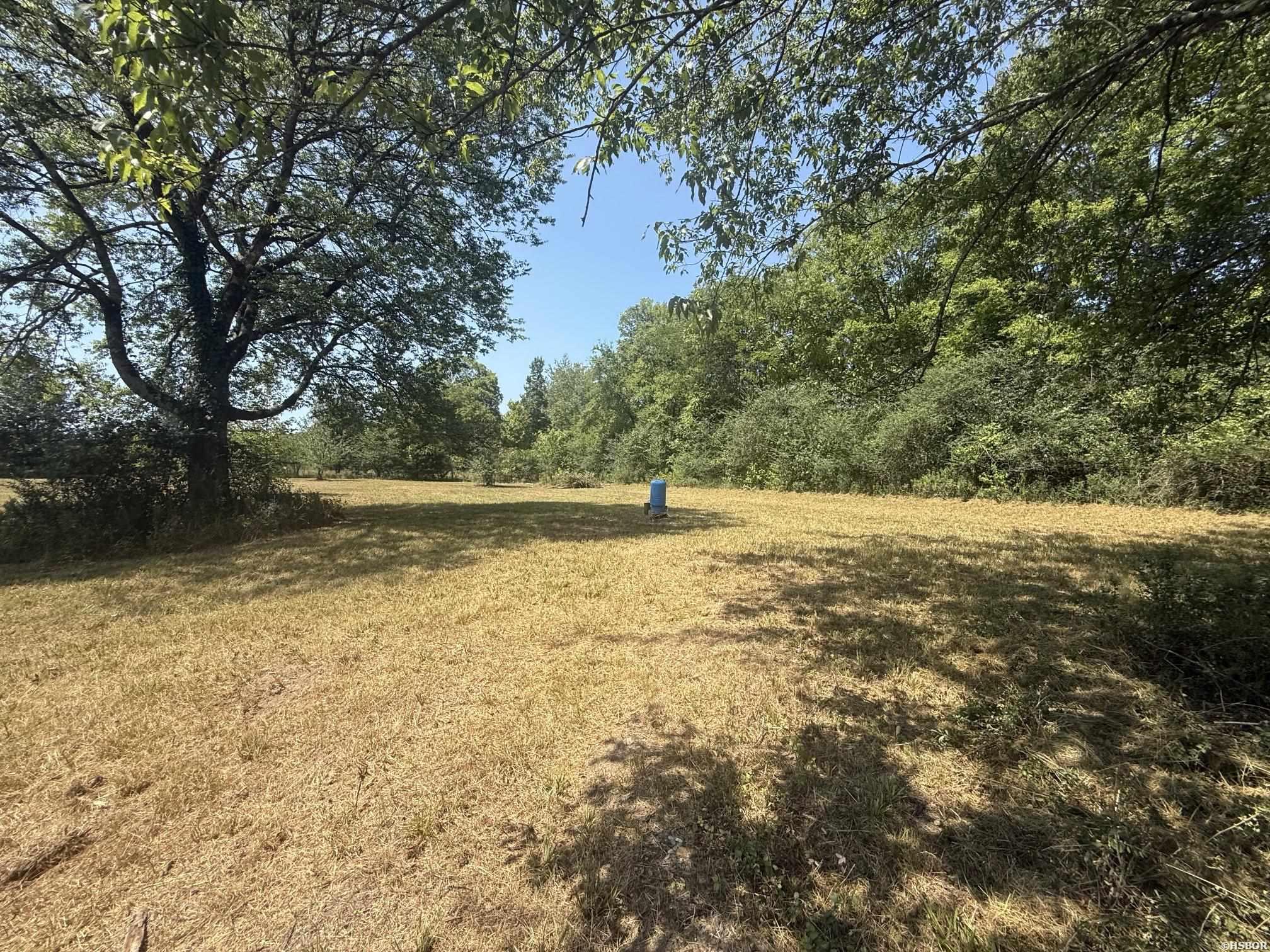 169 ALYDAR Trail