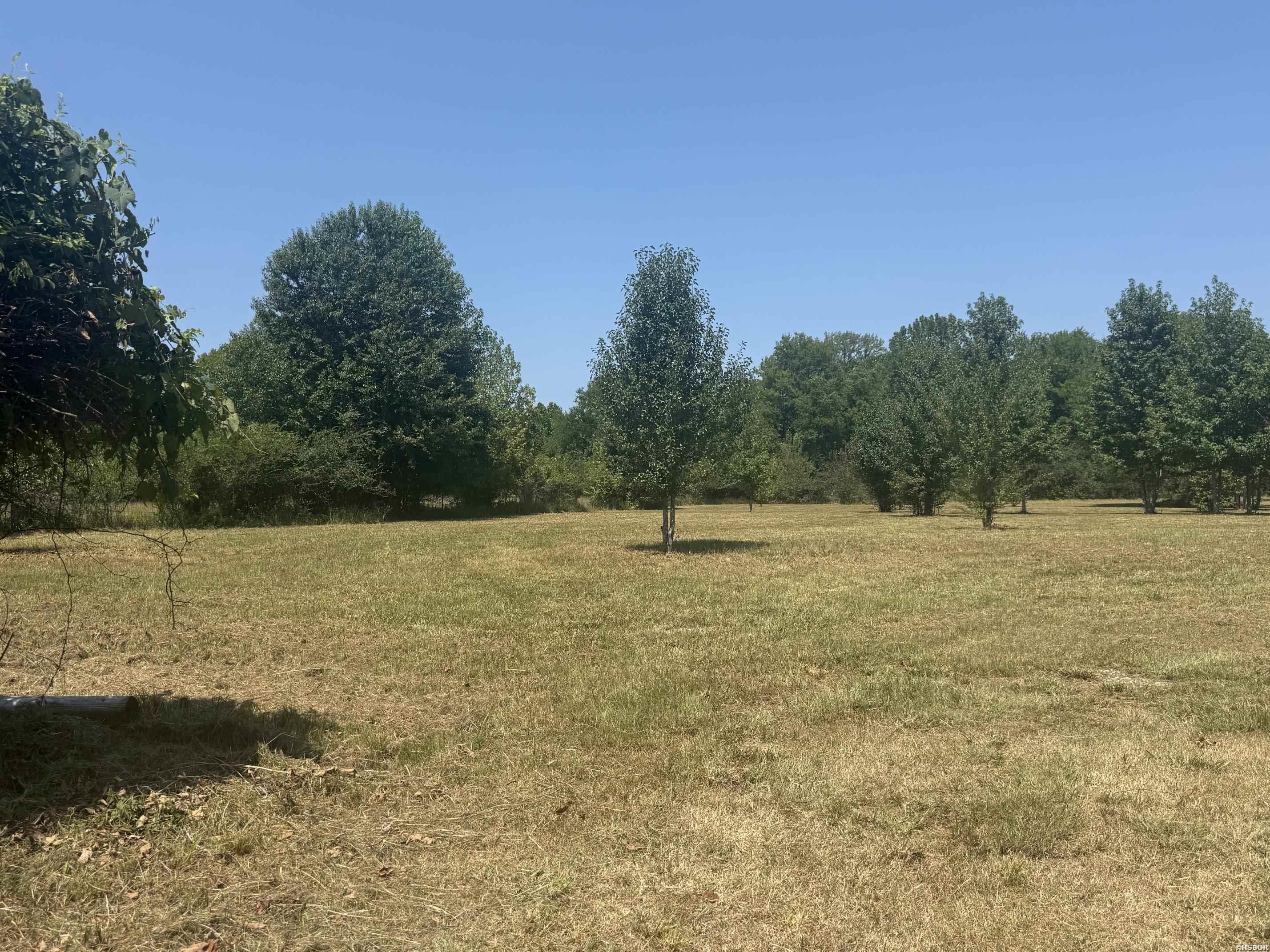 169 ALYDAR Trail