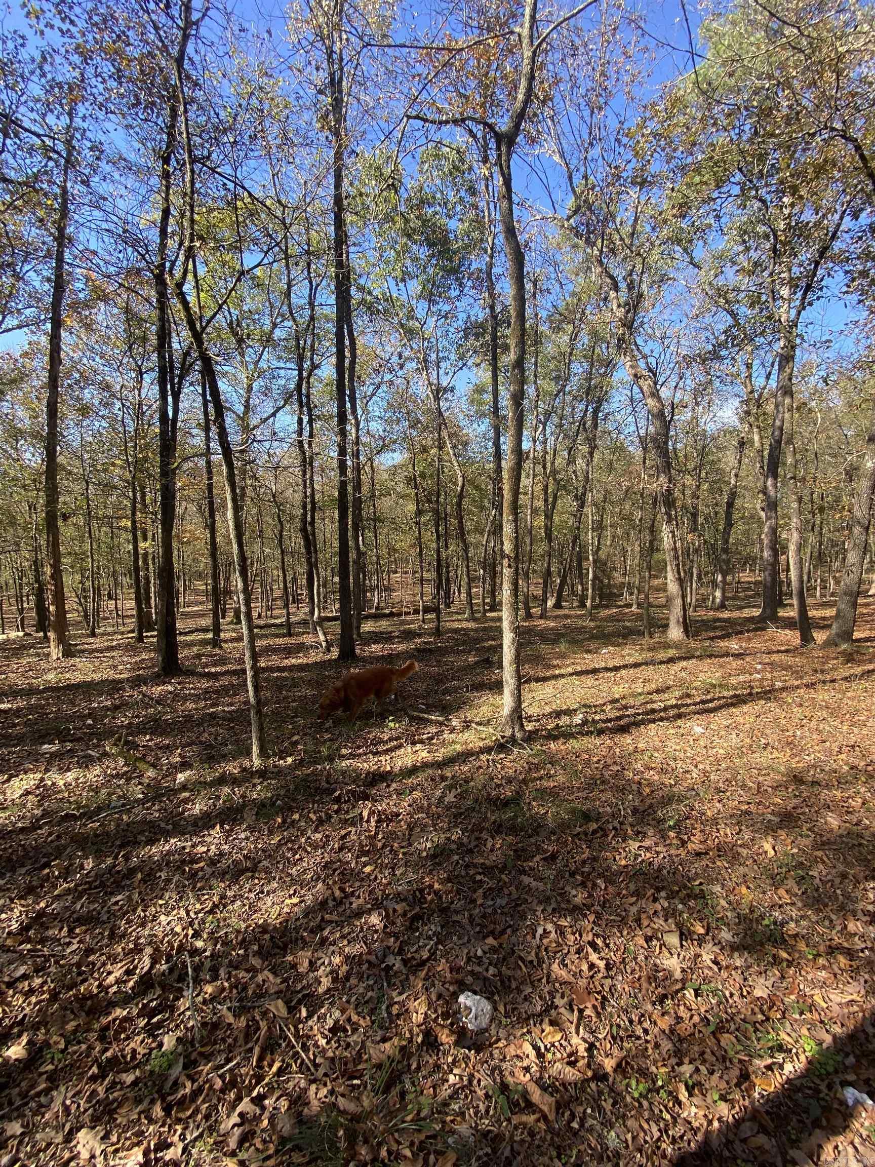 Lot 3 Grizzly Road