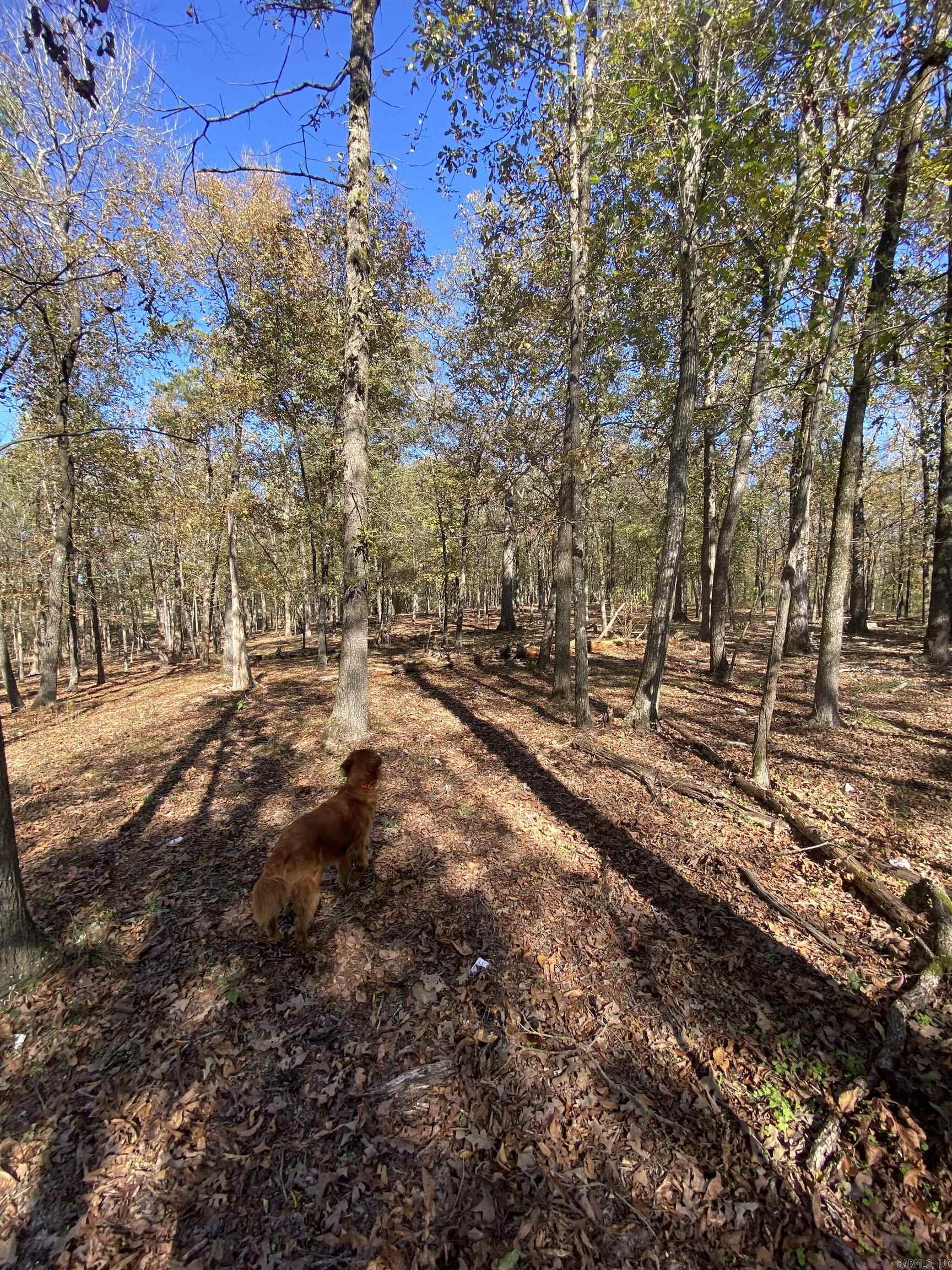 Lot 3 Grizzly Road