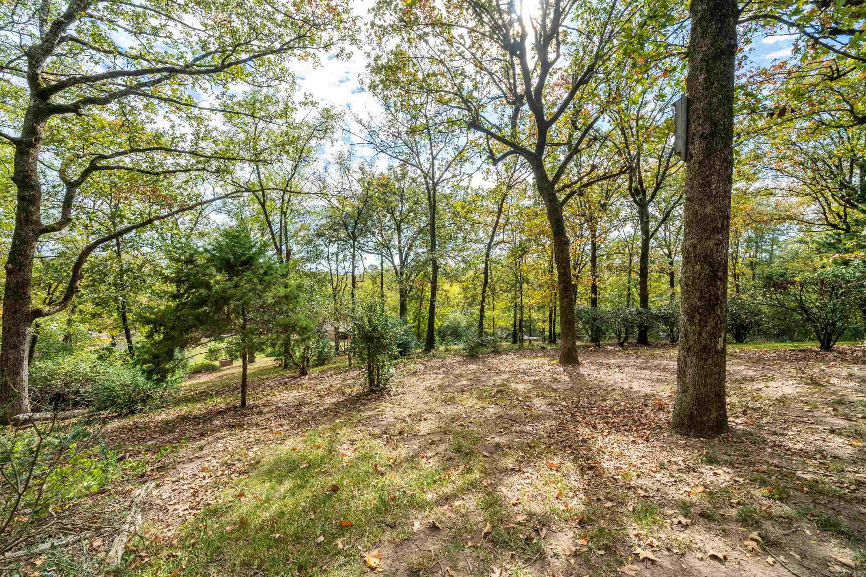 1342 Lakeshore Drive