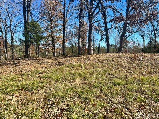 147 McKenzie Trail