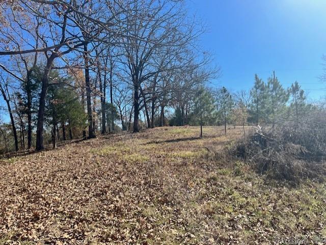147 McKenzie Trail