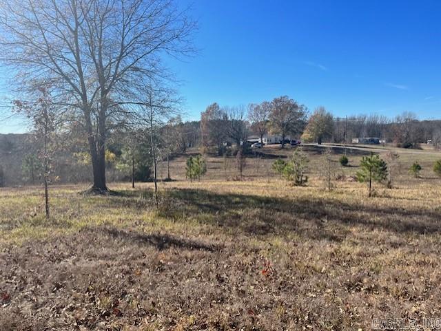 147 McKenzie Trail